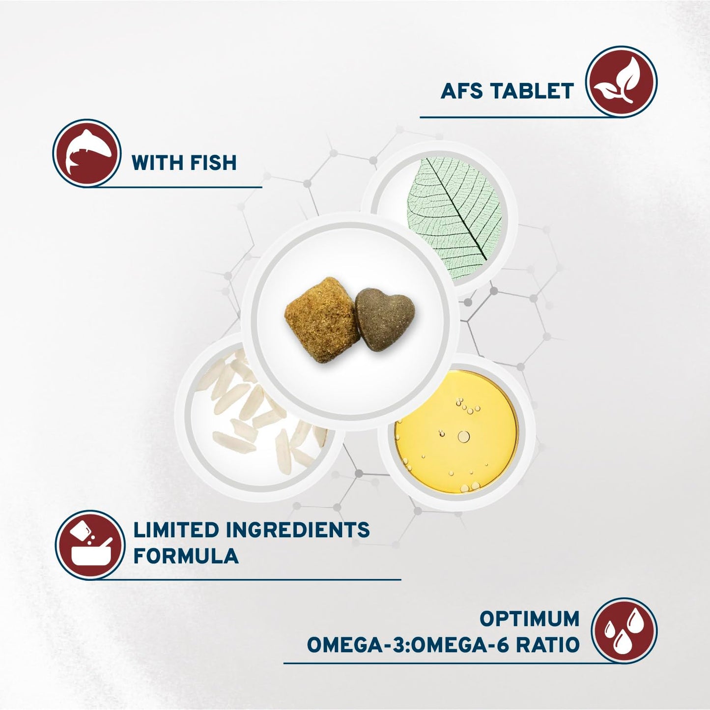 Forza10 Dermo Allergy Dry Dog Food - 22 Pounds - Limited Ingredient Dog Food for Allergies and Itching - for Skin Support, Dermatosis, Hair Loss, Sensitive Stomach for Adult Dogs, Fish Flavor