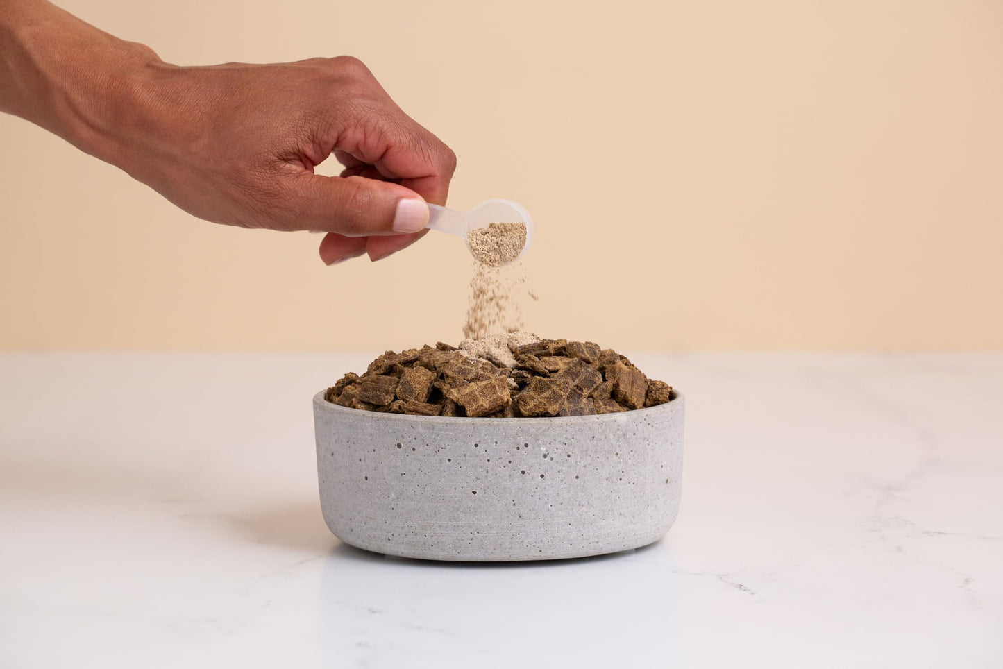 ZEAL Canada Air-Dried Salmon & Duck Recipe for Dogs - Superfood Omega-3 Rich, Dual-Protein, Grain Free, No Fillers, Complete Nutrition (Salmon & Duck, 1 lb)