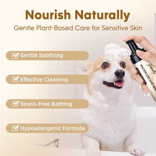 Pjordo Waterless Dog Shampoo No Rinse Foam, Dog Dry Shampoo, with Pet Fur Care Oil, Pet Sensitive Glove & Stainless Steel Pets Grooming Comb, Clean Quickly, Soothe & Moisturize