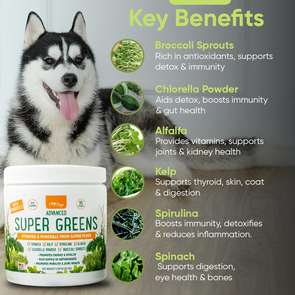 iHeartDogs Super Greens for Dogs with Broccoli Sprouts & Spirulina Powder - Seasonal Allergy & Immune Support Dog Greens Powder - Vitamins, Antioxidants & Minerals Supplement for Dogs