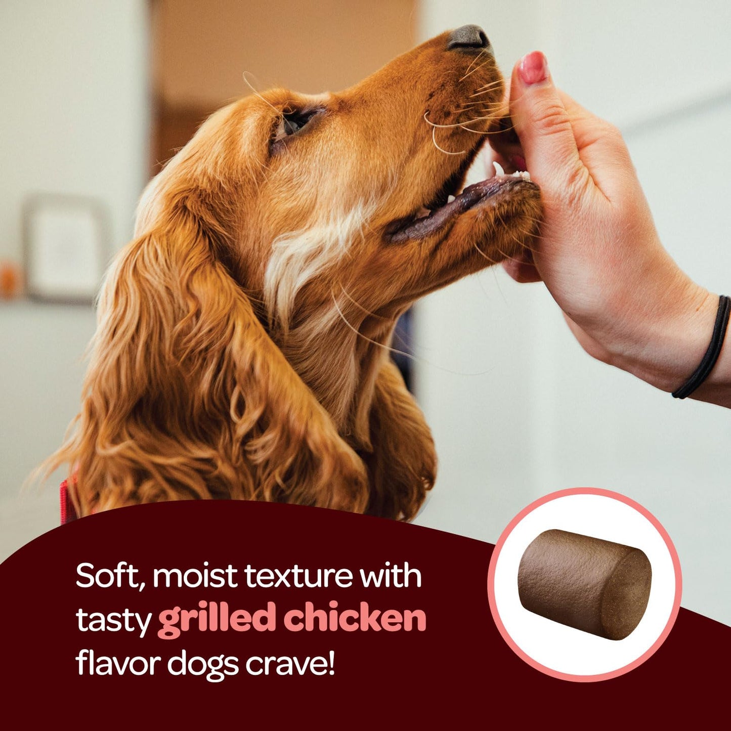 Hip and Joint Chews for Dogs | Dog Glucosamine Chews for Comfort & Mobility with Chondroitin MSM & Turmeric | Dog Joint Supplement for All Ages & Sizes | NASC Certified & Made in The USA | 60 Chews