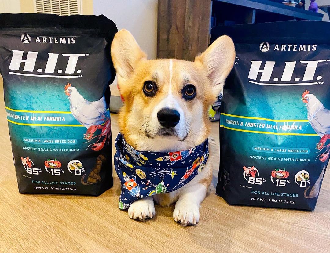 ARTEMIS Premium H.I.T. Chicken & Lobster Dry Dog Food for Medium & Large Breed Dogs (25 Lbs)