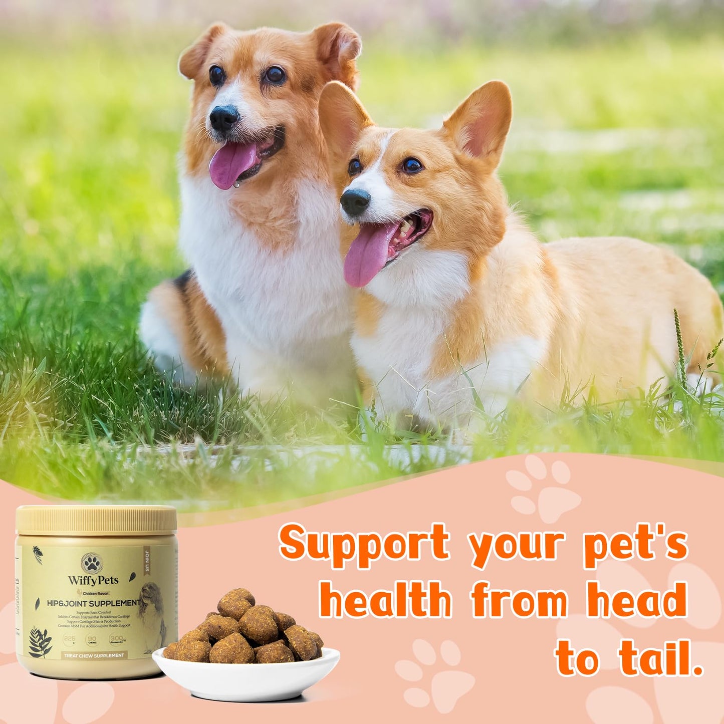 Hip and Joint Supplement Dogs with Glucasamine for Dogs, Hip Pain Relief for Small, Medium and Large Breed, Hip and Joint Chews for Dog MSM, Chondroitin 90 Count, Chicken Flavor