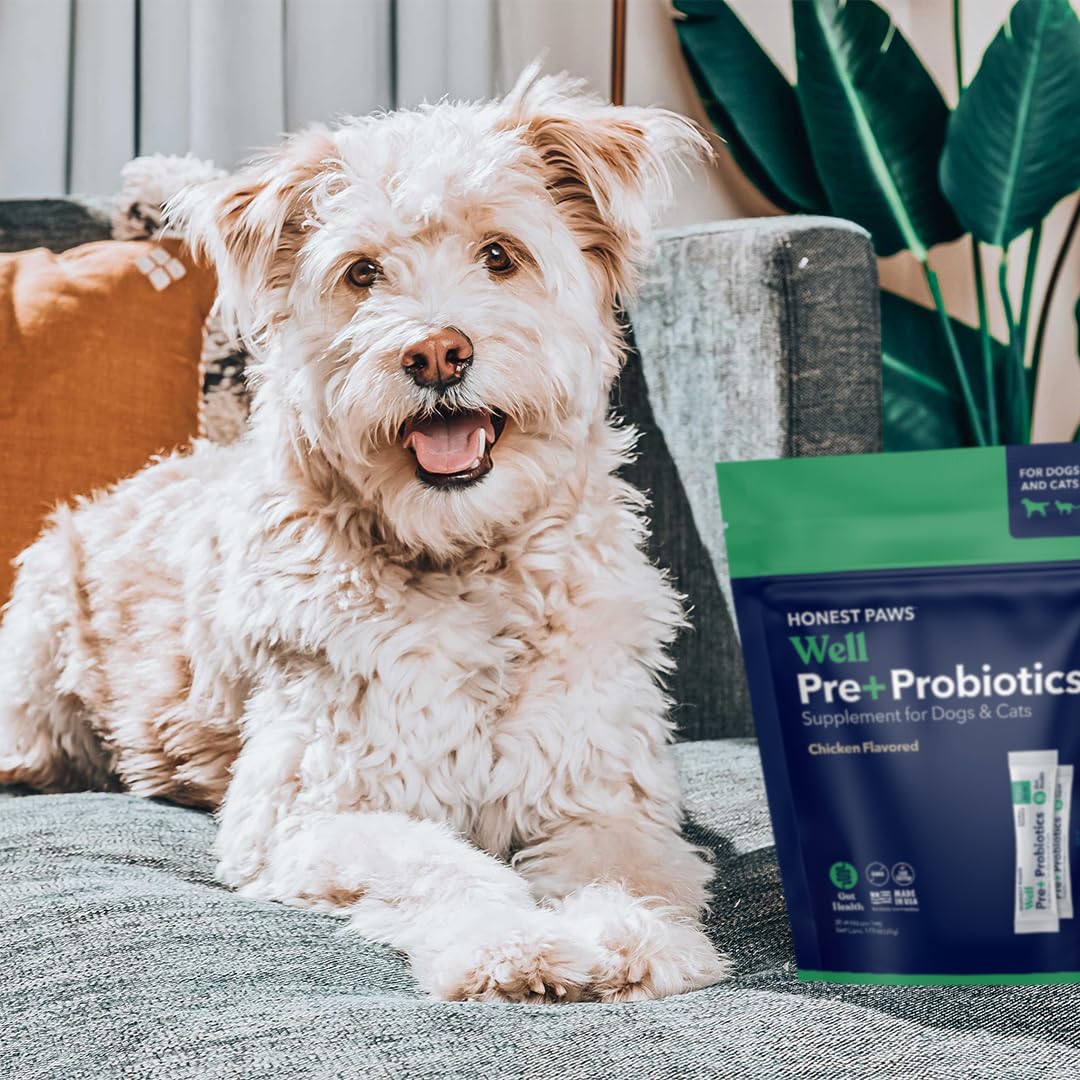 Addiction Wild Kangaroo & Apples Dry Dog Food - Limited Ingredient, Novel Protein for Dogs with Allergies, Grain-Free - Support Muscle Development & Manage Weight - Made in New Zealand 20lb