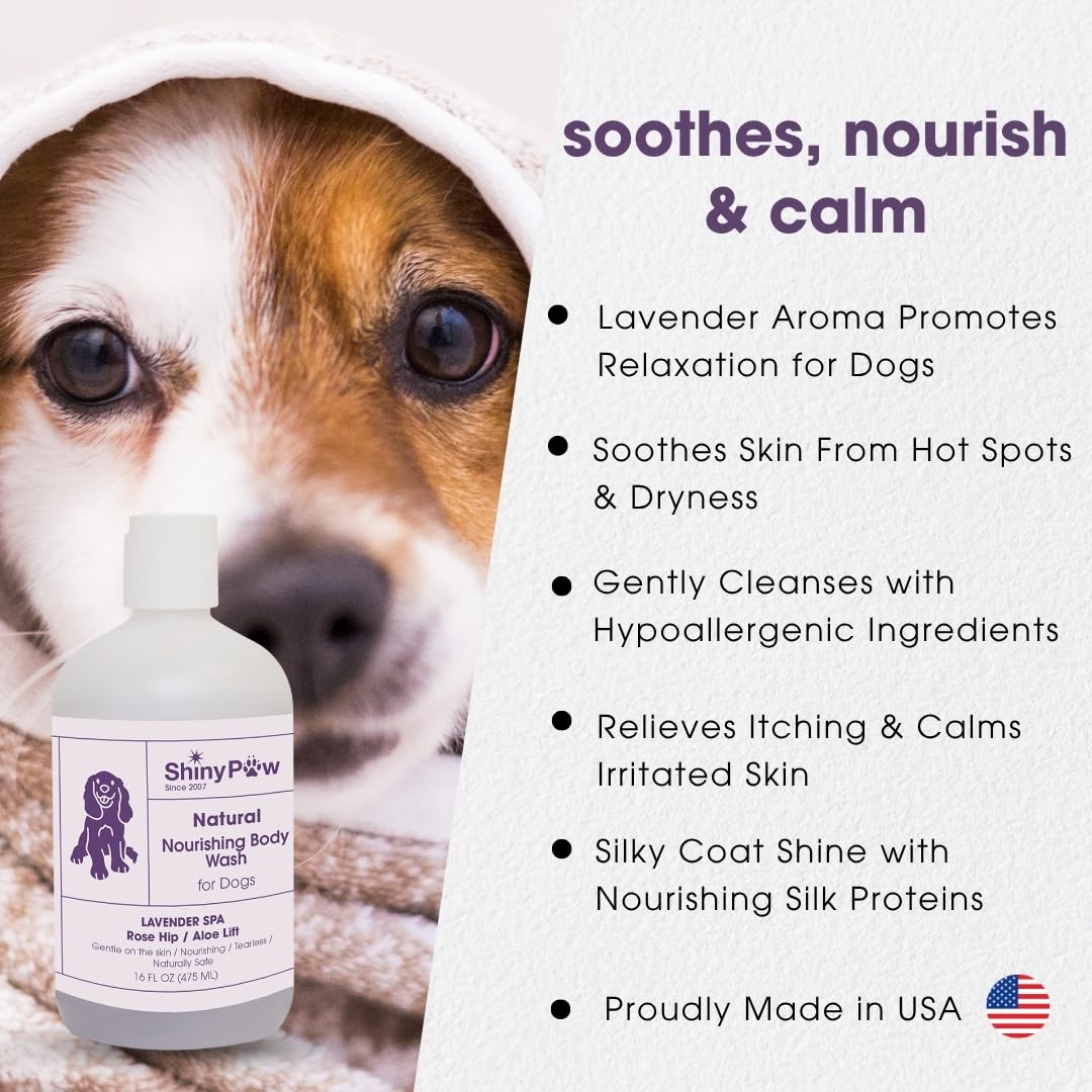 Lavender Shampoo Spa Essentials Nourishing Dog Body Wash by Shiny Paw (16 oz) | Anti Itch Shampoo for Dogs | Dog Bath Coat Cleansing for Dogs | Made in The USA