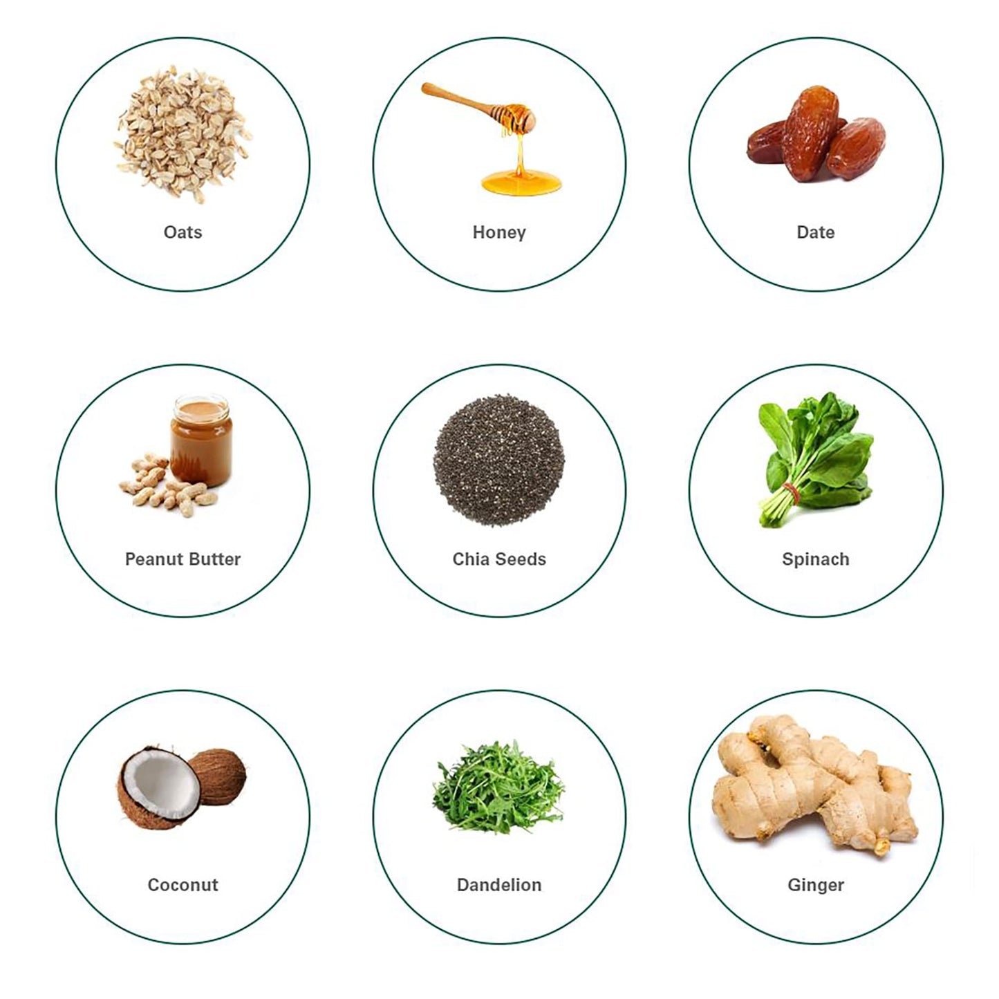 Lord Jameson Daily Greens Soft & Chewy Organic Dog Treats - Digestion Supporting Spinach, Dandelion, & Ginger - No-Bake, Gluten-Free, Preservative-Free, USDA Certified Organic - Made In USA 6 oz