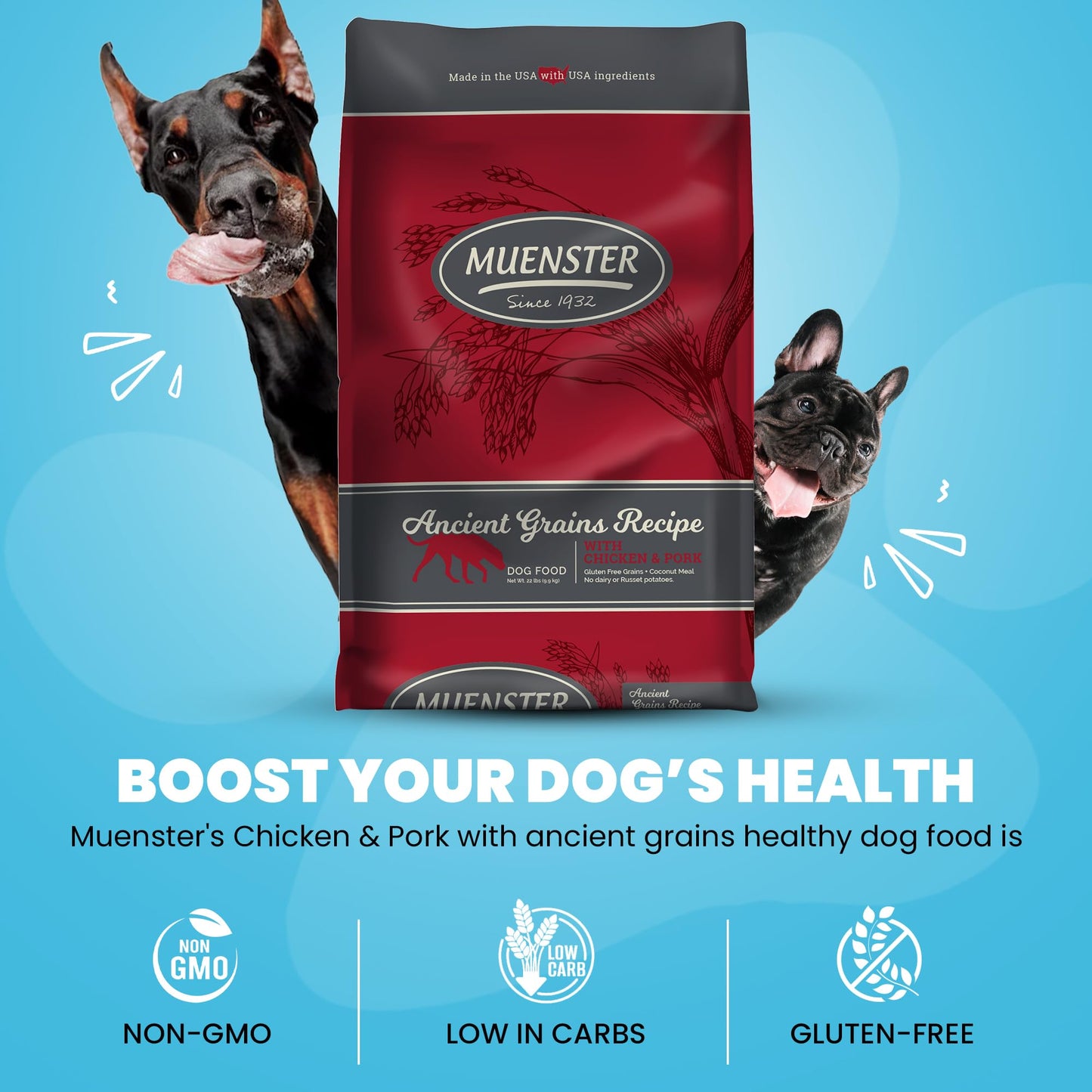 Muenster Ancient Grains Chicken & Pork Dry Dog Food, 22lb - Gluten-Free, High Protein, Digestive Support
