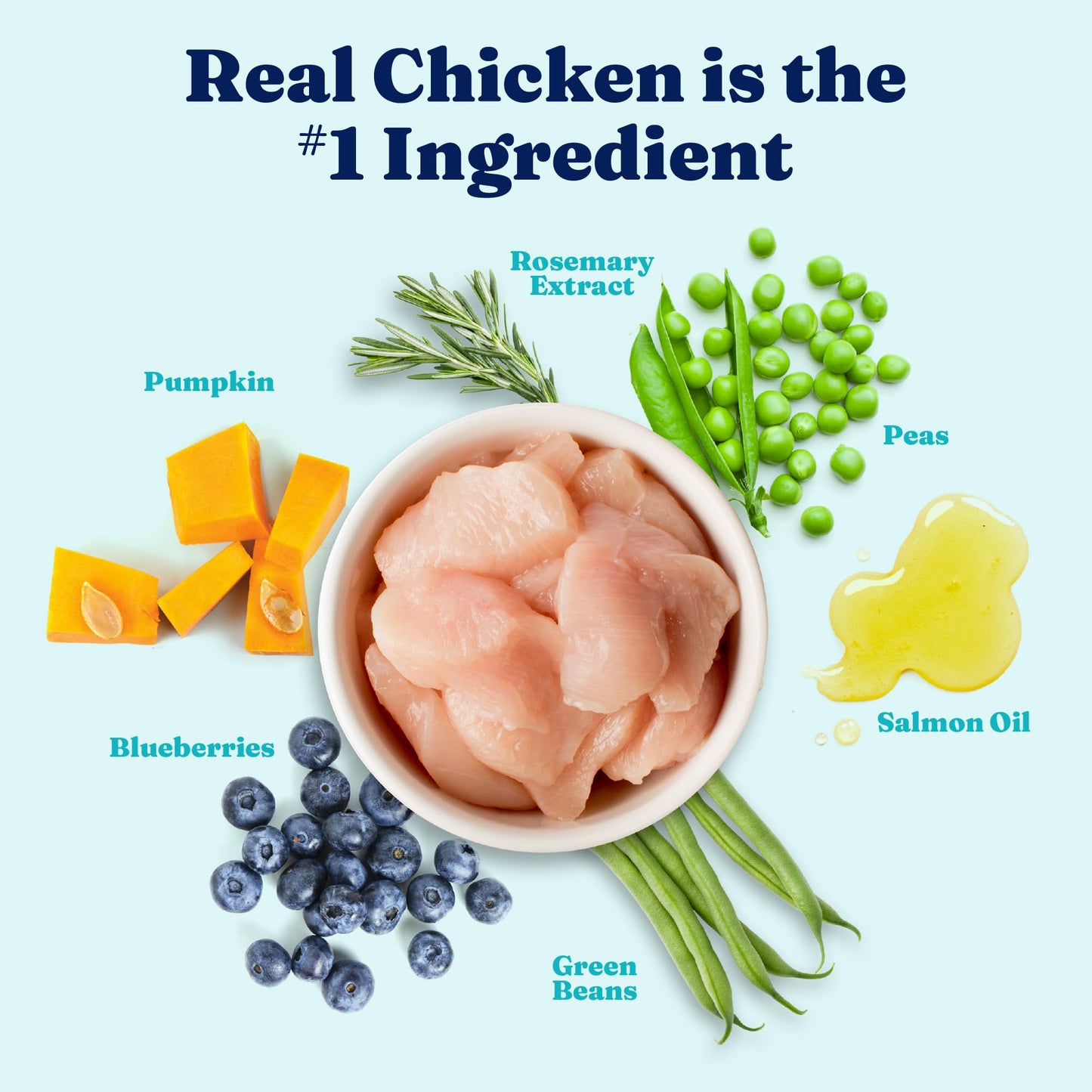 Solid Gold Healthy Weight Management Dry Dog Food for Adult & Senior Dogs - Real Chicken, Probiotics & Omega 3 Fish - Grain Free Dry Dog Food for Healthy Weight & Gut Health - Nutrientboost – 22LB