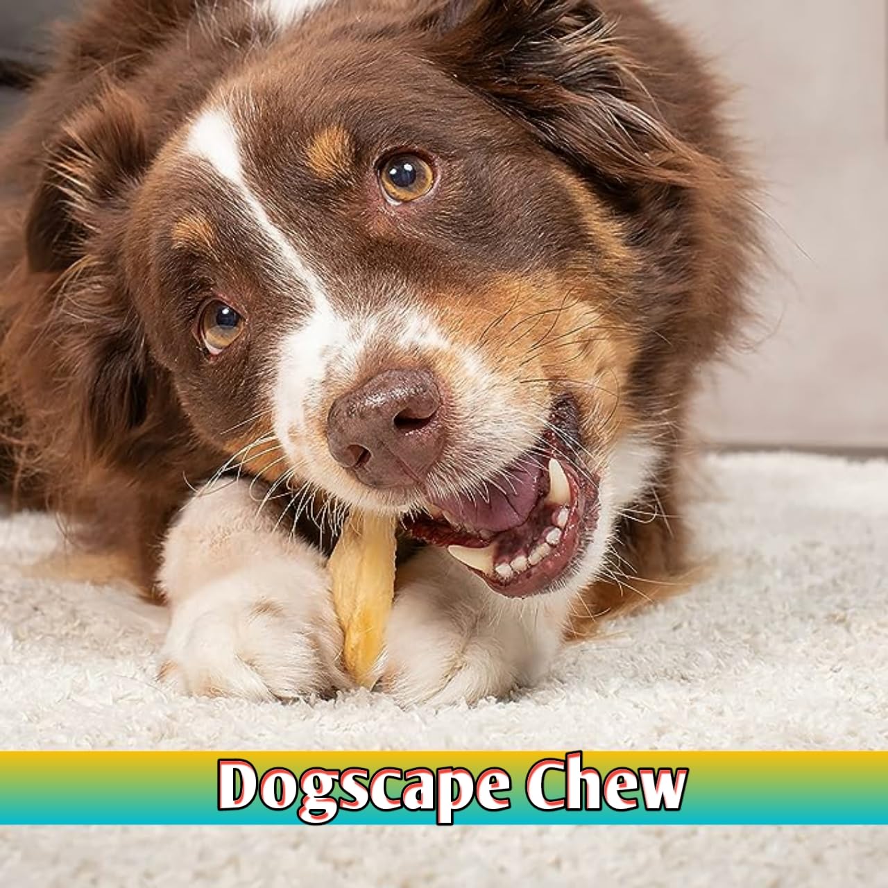 Dogscape chew Pure Natural Grass Fed Water Buffalo Ear - 12 Piece Value Pack Tough Dog Chew and Treat for Aggressive Chewers and Puppies