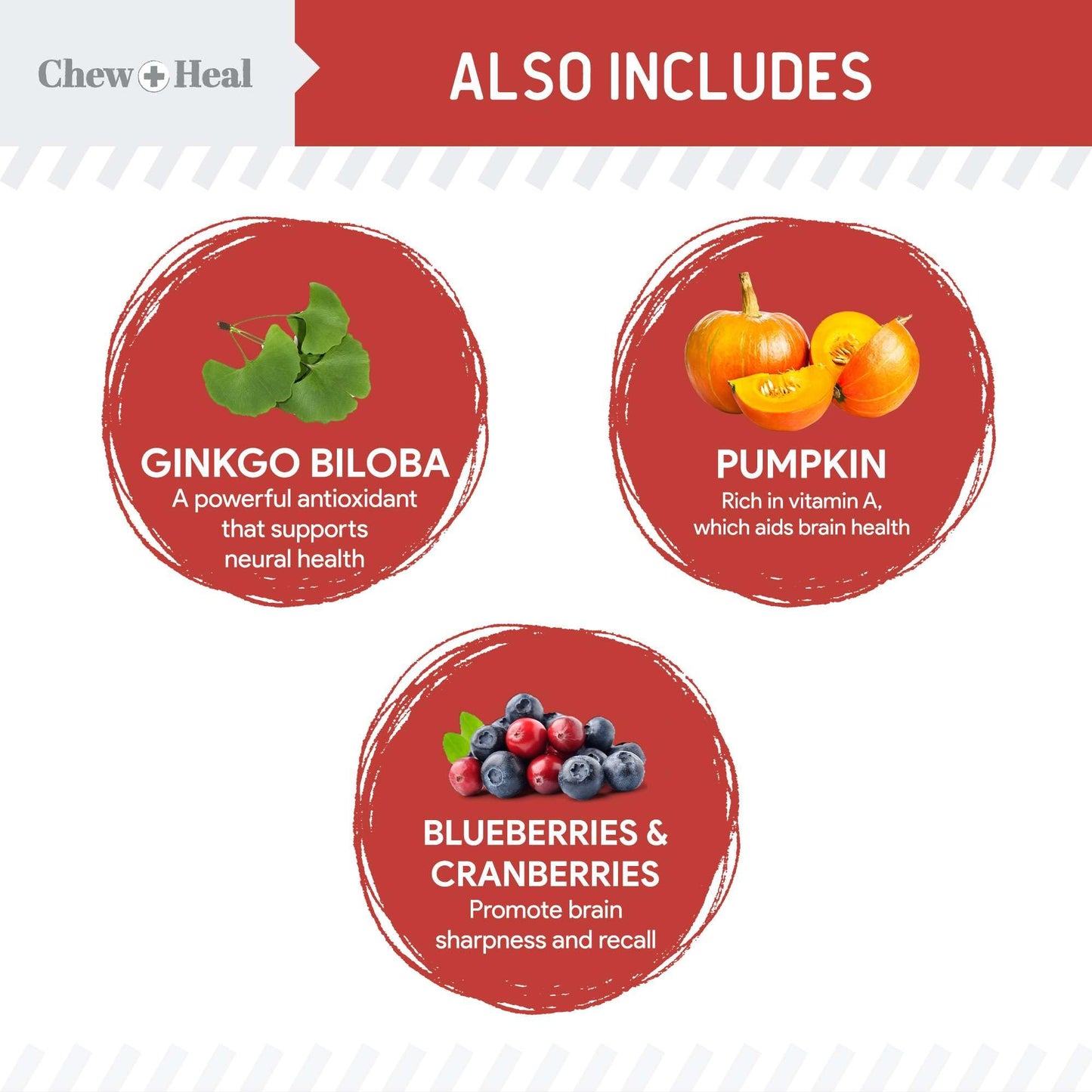 Chew + Heal Labs Dog Salmon Jerky Treats with Cognitive Support - 5 oz of Wild Caught Salmon Jerky Dog Treat - Made with Gingko Biloba, Blueberries, Cranberries, Pumpkin, and More - Made in The USA