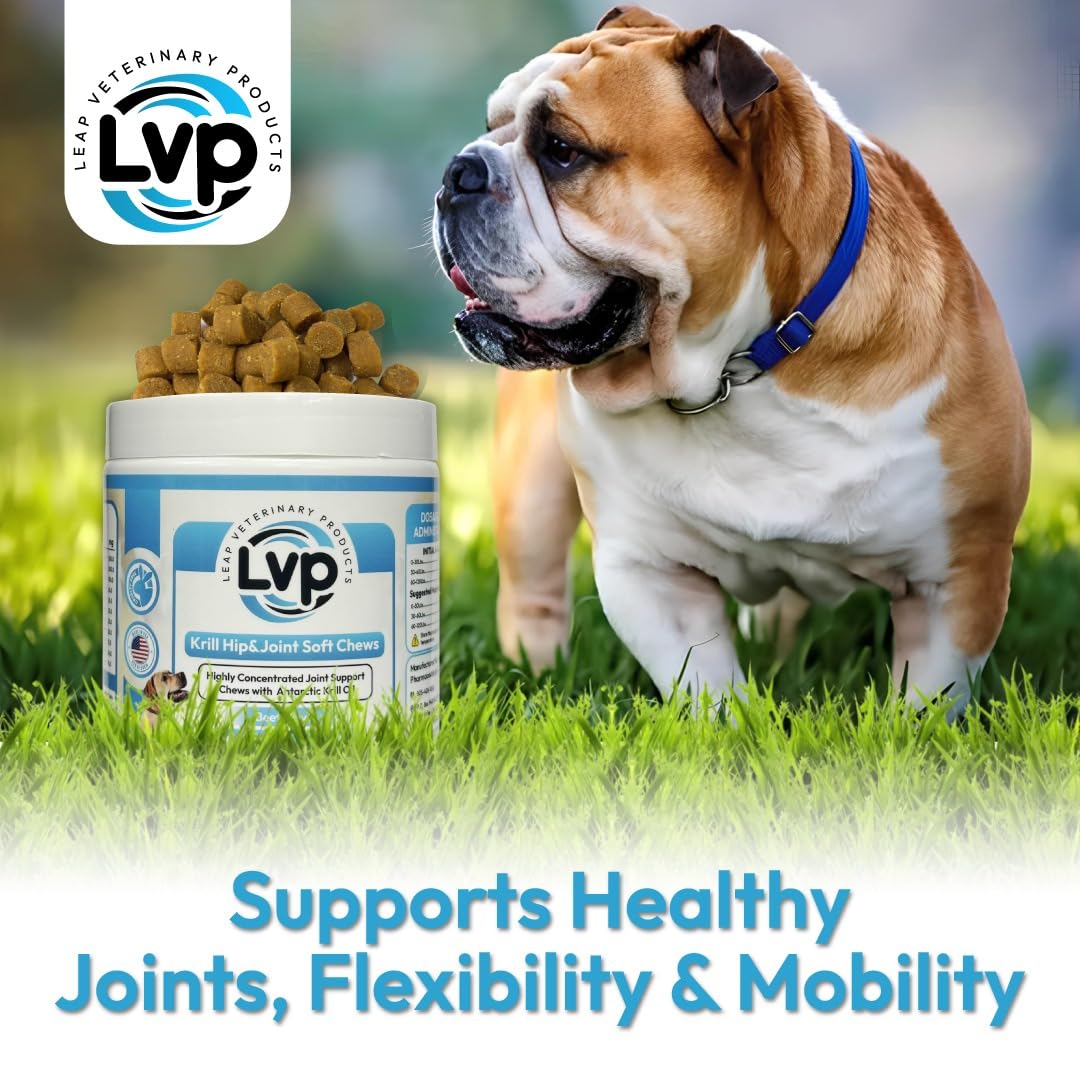 Dogs Suplements Hip & Joint - Krill Oil and Glucosamine Soft Chews, Joint Supplement for Dogs with Krill Oil,Glucosamine, Chondroitin, MSM, Turmeric, Anti Inflammatory, Mobility (Beef 90ct)