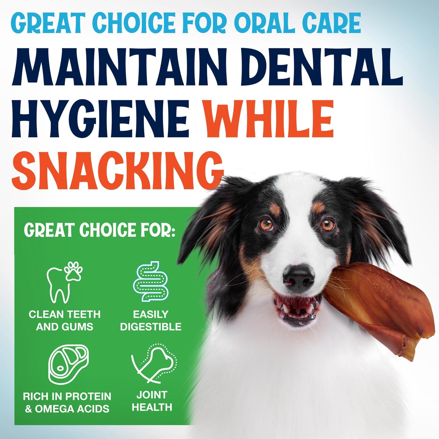 FETCHERONI Whole Pig Ears for Dogs Large - 30 Pack Long Lasting Dog Chews – One Ingredient Delicious All Natural Flavor – Easy to Digest Dog Treats for Large Dogs - Great for Teeth and Gums