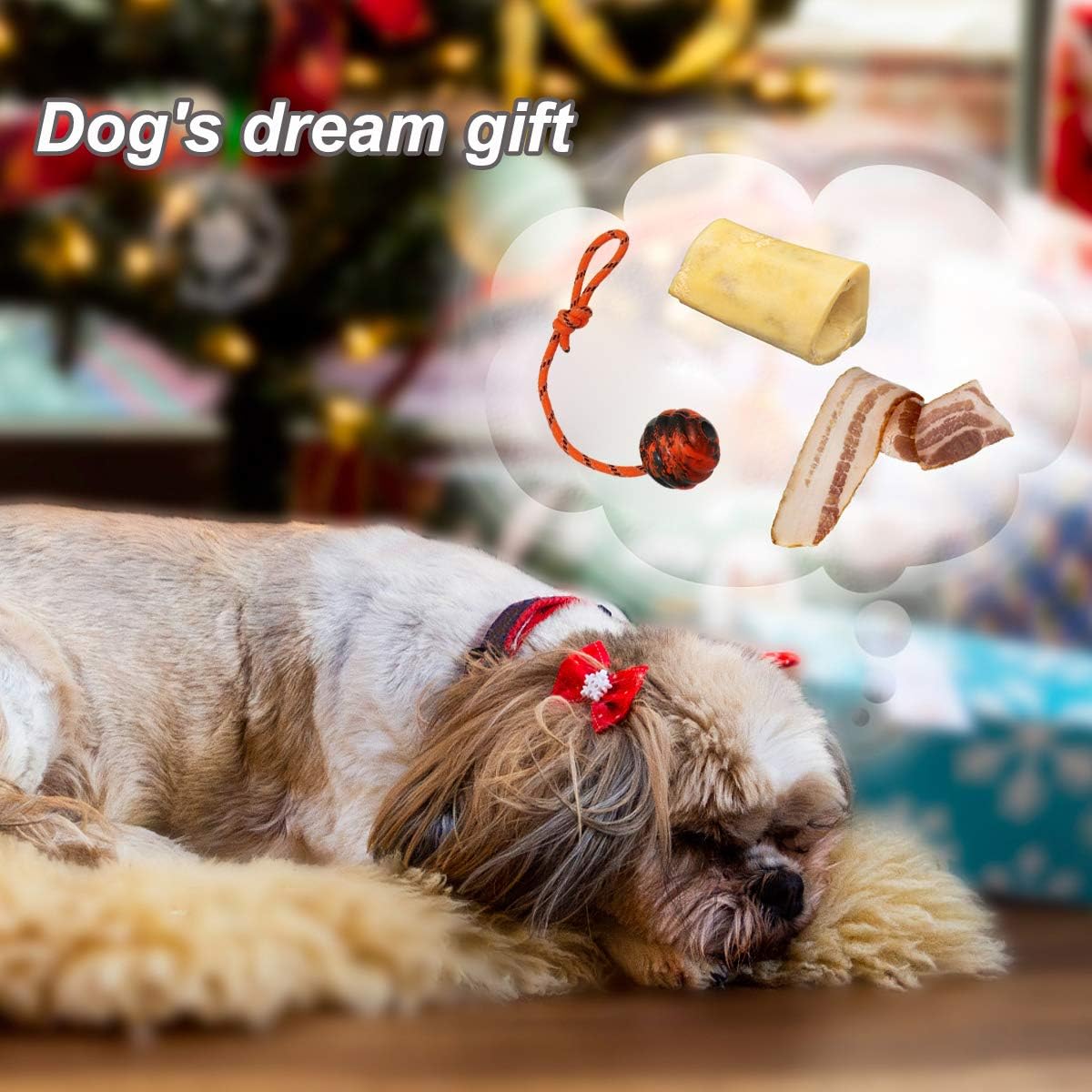 Nevperish K9 Training Ball with Rope Exercise and Reward Toy for Dogs - Indestructible Dog Toy Ball with Handle for Training Pull Throw Tug Fetch Belgian Malinois Gifts (Orange)