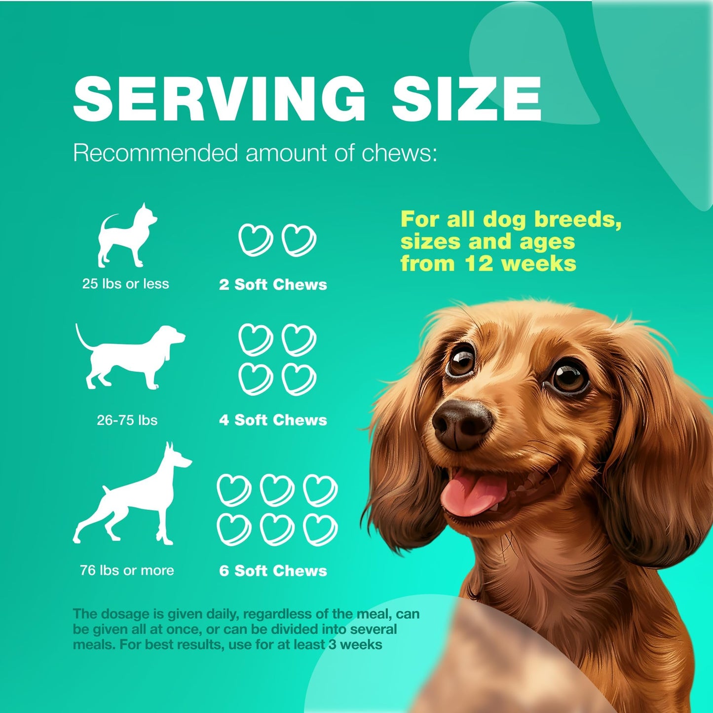 Probiotics for Dogs Gut Health, Digestion, Immunity, Yeast Balance, Itchy Skin, Allergies Support - Dog Probiotic Chews (Travel Pack) with Digestive Enzymes for Gut Flora - Pumpkin and Yeast Powder