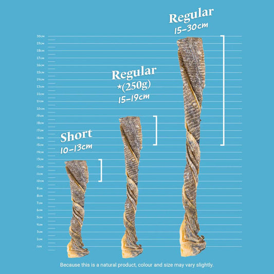 SKIPPER'S Cod Fish Skin Twists Dog Chews - 100% Fish Skin Grain Free Treats for Dogs, High in Protein & Low in Fat, Essential Omega 3 Oils | Great for Teeth (Regular, 8.82 Oz)