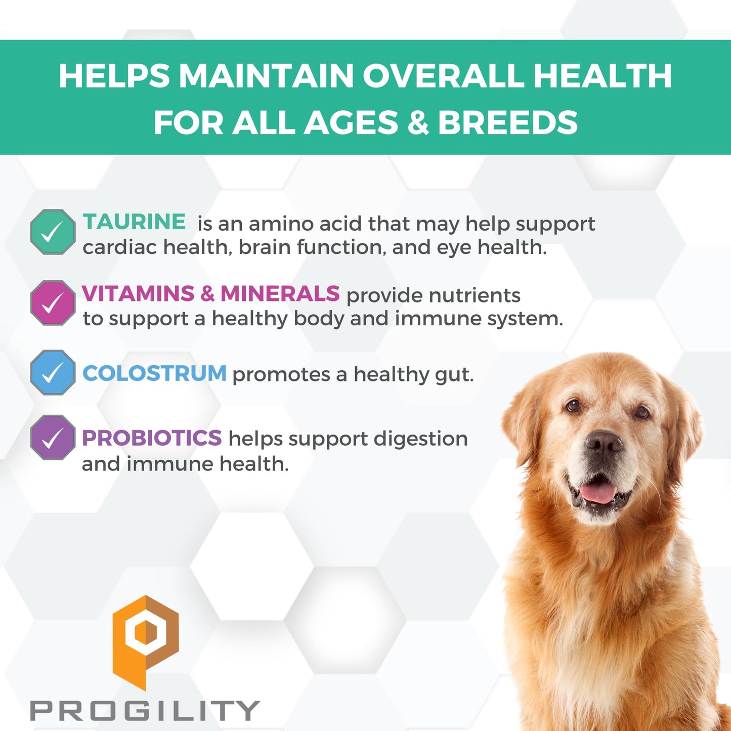 Nootie PROGILITY Daily Multivitamin Chews for Dogs - Supports Immunity, Heart, Eye, Brain, and Bone Health with Taurine- for All Dog Sizes - 90 Soft Chews. - Sold in Over 5,000 Pet Stores