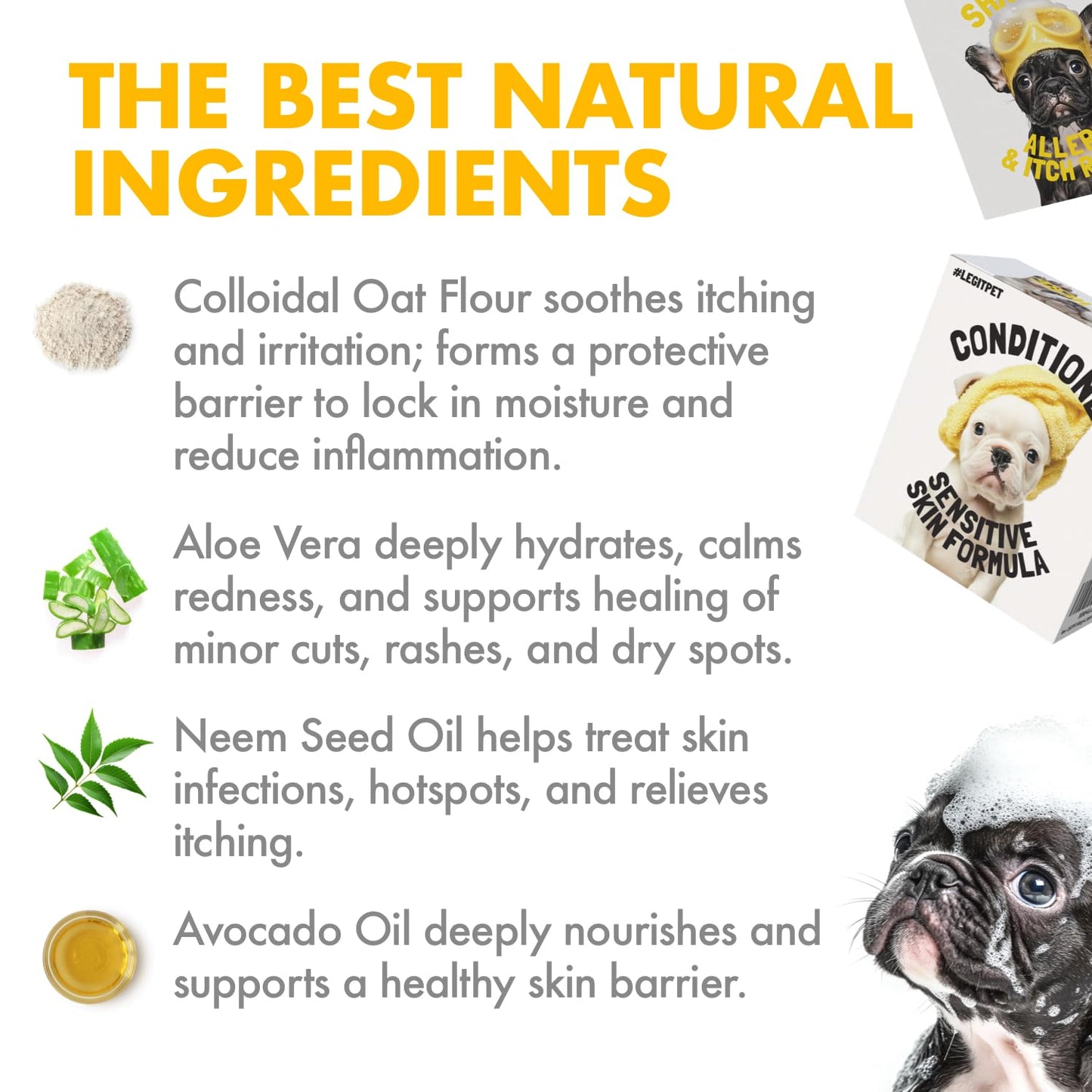 LEGITPET Oatmeal Dog Shampoo & Conditioner Itch & Allergy Relief with Honey & Aloe Hypoallergenic Gentle Calming Formula for Sensitive Skin & Dandruff Safe for Puppies Best for All Breeds 2 x 16oz
