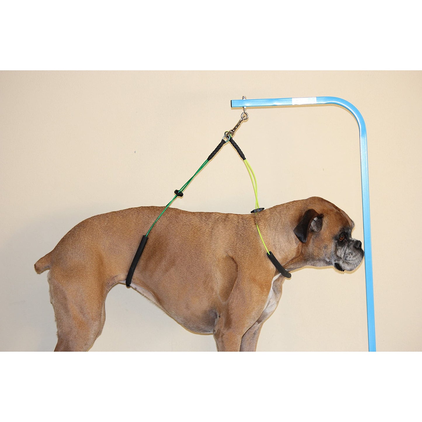 Downtown Pet Supply No Sit Haunch Holder for Dog Grooming Arm and Pet Grooming Table - Dog Grooming Supplies - Stainless Steel Hardware, Rust & Chew Resistant - 19 & 21in - Small/Medium (Haunch Only)
