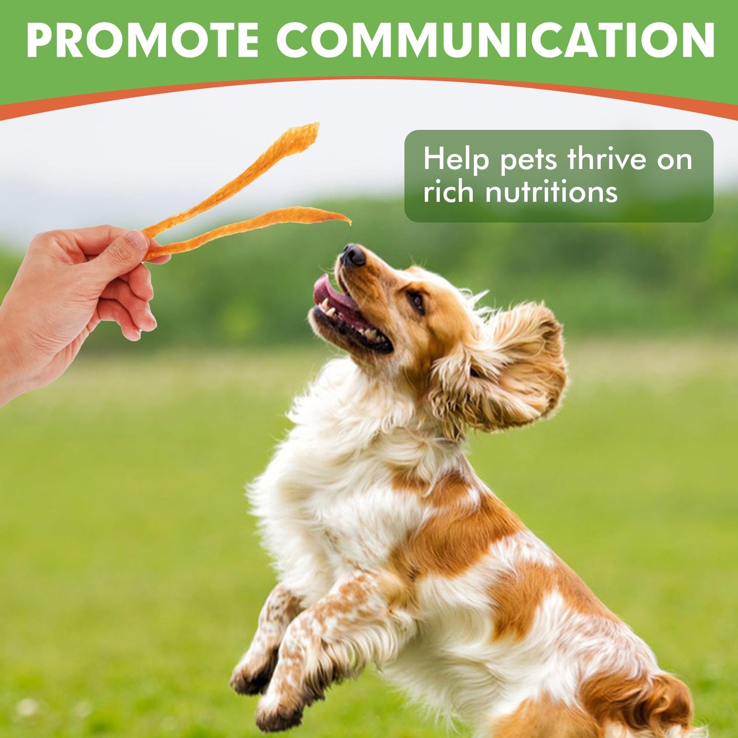 MON2SUN Dog Treats, Chicken Jerky Strips for Small Dogs, High Protein & Grain Free Snacks, Easy to Digest Training Treats (Chicken, 17.64 Ounce -Pack of 1)