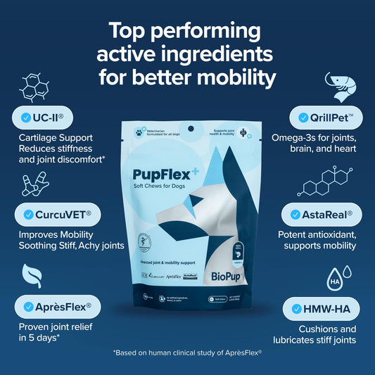 PupFlex+ Hip and Joint Supplement Dogs, Vet Created Soft Chews with UC-II® Collagen for Dogs, CurcuVET® & Omega 3, Proven More Effective Than Glucosamine Chondroitin, Dog Joint Supplement (60 ct)
