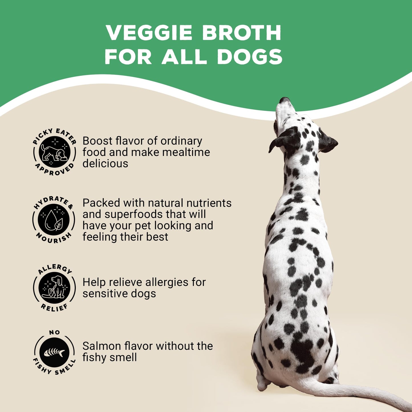 Brutus Vegetable Broth for Dogs 16.9 oz | All Natural | Made in USA | Omegas & Turmeric for Healthy Skin & Coat | Human Grade Ingredients | Hydrating Dog Food Topper, Gravy & Treat Salmon (Pack of 6)
