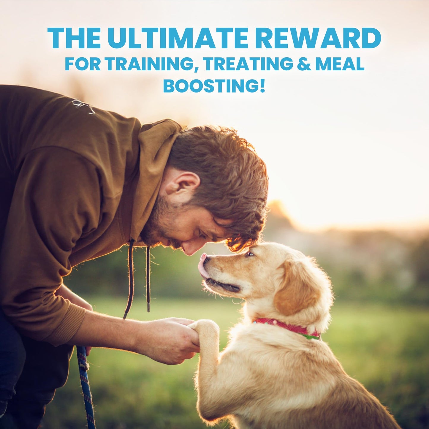 Peanut Butter Dog Treats, Healthy Puppy Treat, Pumpkin, Cricket, Gift for Pet Lovers, Natural Dog Snacks, Hypoallergenic, Gut-Healthy, Medium and Large Dogs, Sustainable Products