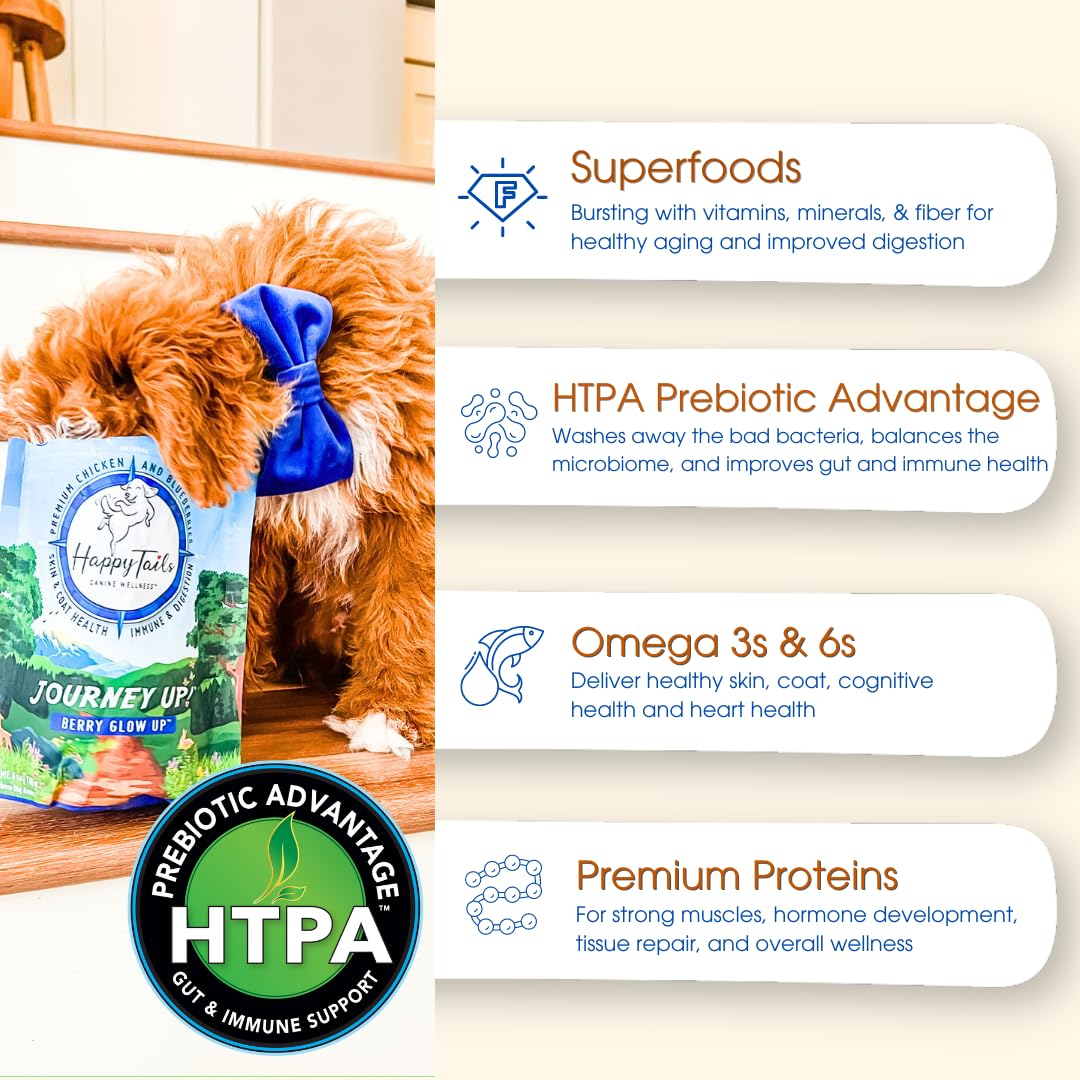 HappyTails Journey Up, Pumpkin Power Up Jerky Treats for Dogs with Beef, Pumpkin & Carrots-Made in USA-Prebiotics for Gut & Immune Health, Omega 3 & 6 for Skin & Coat, Small-Large Dogs, 6 oz.