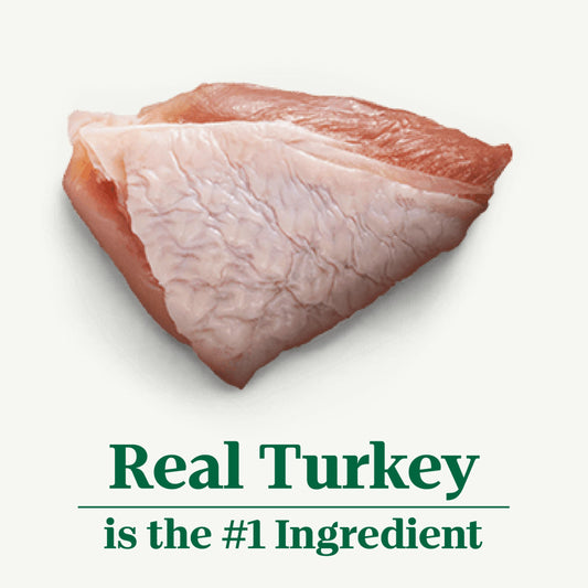 Nutro Hearty Stew Cuts in Gravy Adult Wet Dog Food Turkey Recipe, 12.5 oz Cans (12 Count, Pack of 1)