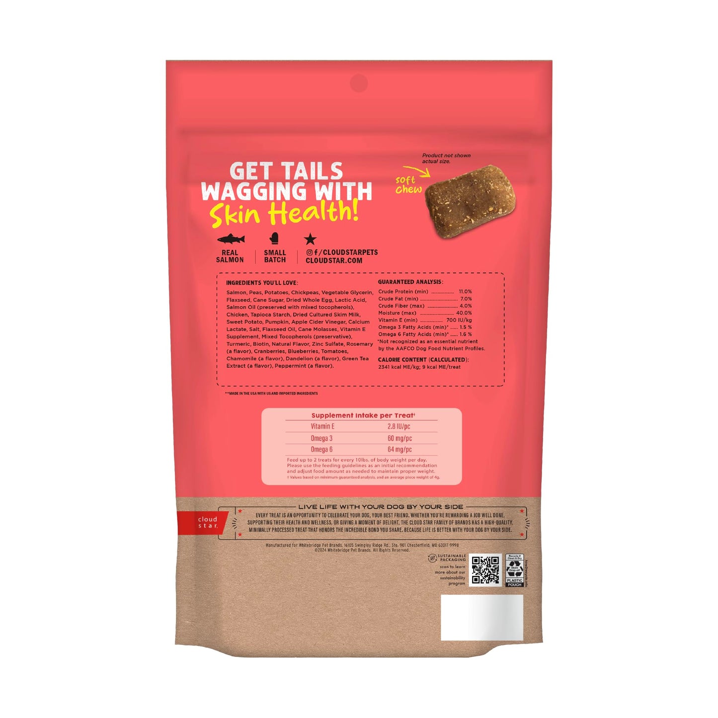 Cloud Star Dynamo Dog Skin & Coat Soft Chews Grain Free Dog Treats, Salmon, 14 oz. Pouch