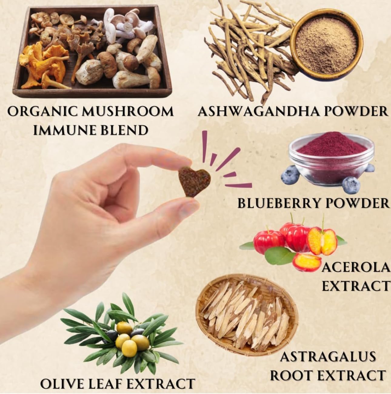 Dogs Immune Support Mushroom Supplement - Supports Longevity, Cognition, Joint, Cellular & Gut Health - All Natural Organic, GrainFree - Aid for Lumps and Bumps, Chicken Flavor - 90 Chews