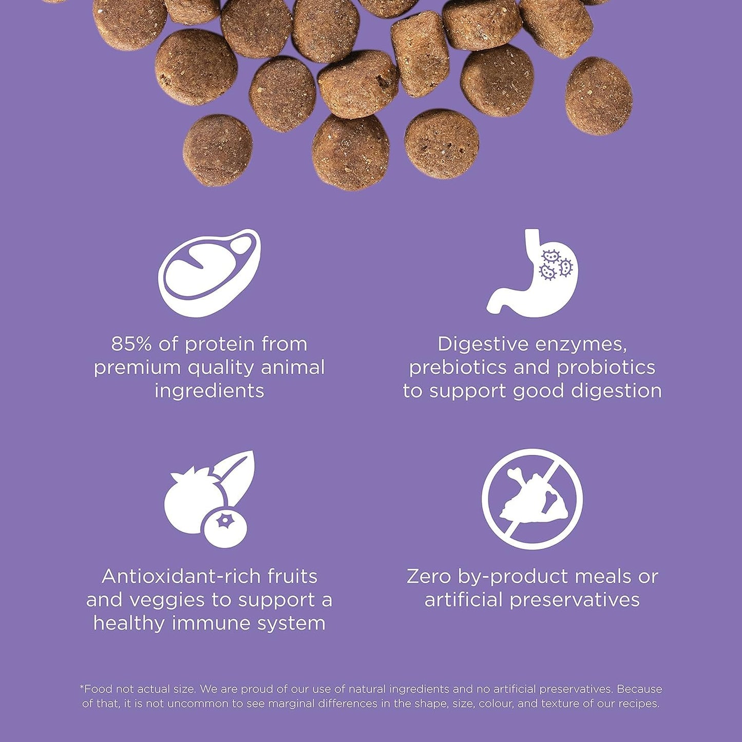 Go! Solutions Carnivore, Grain-Free, Protein Rich Dry Dog Food, Chicken, Turkey and Duck Senior Recipe, 3.5 lb Bag