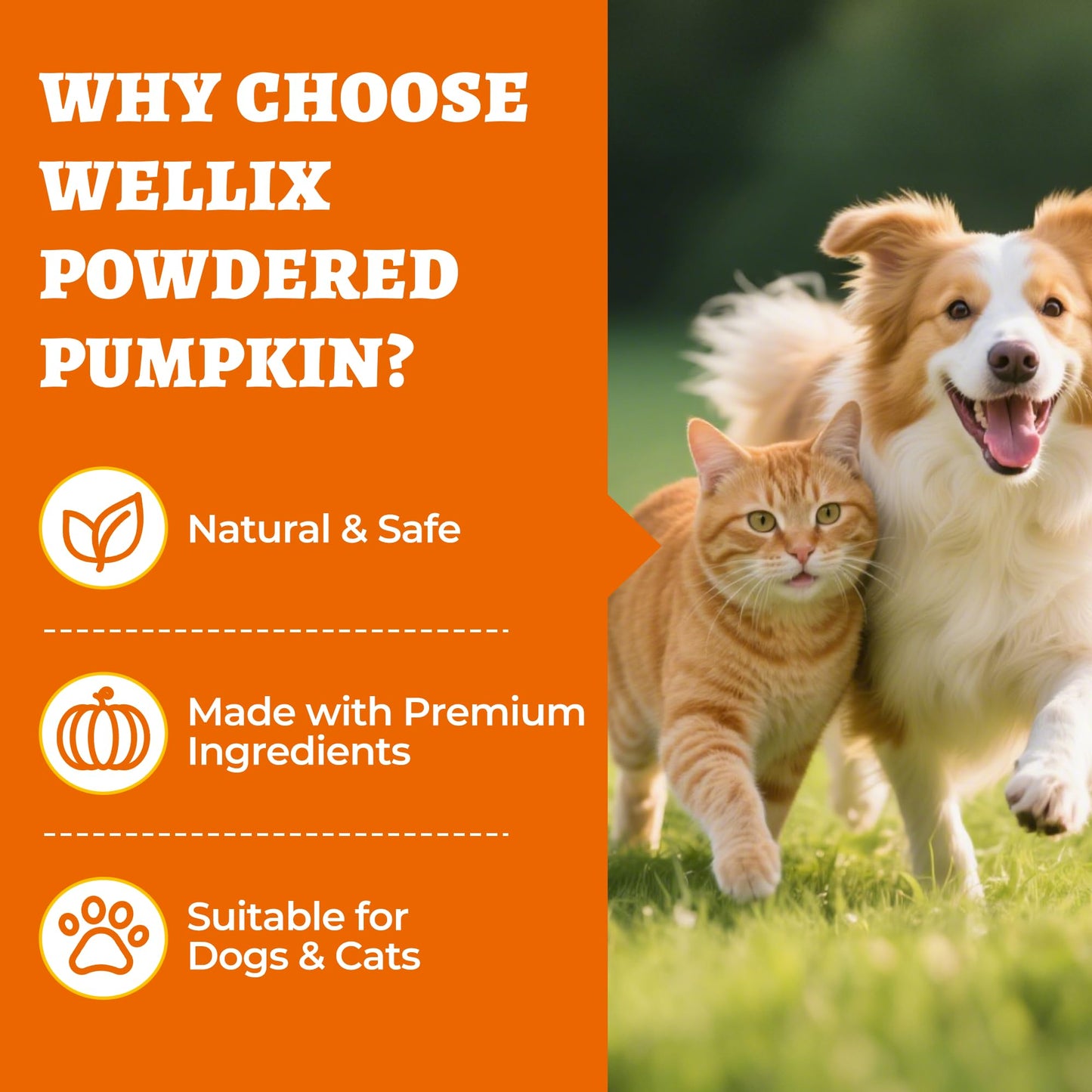 Wellix Pumpkin Powder for Dogs & Cats - Fiber Supplement, Digestion Support, Firms Stool, Dog & Cat Diarrhea, Constipation Relief, Gut Health - Food Topper for Dogs & Cats, Larger Volume
