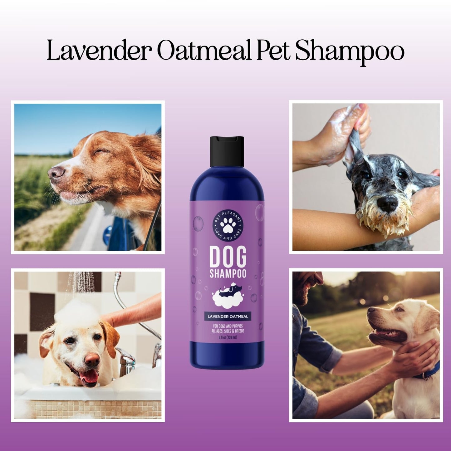 Soothing Oatmeal Shampoo for Dogs - Cleansing and Moisturizing Aloe & Oatmeal Dog Shampoo for Smelly Dogs of all Ages & Breeds - Gentle Sulfate and Paraben Free Dog Wash Made in USA (Lavender Vanilla)