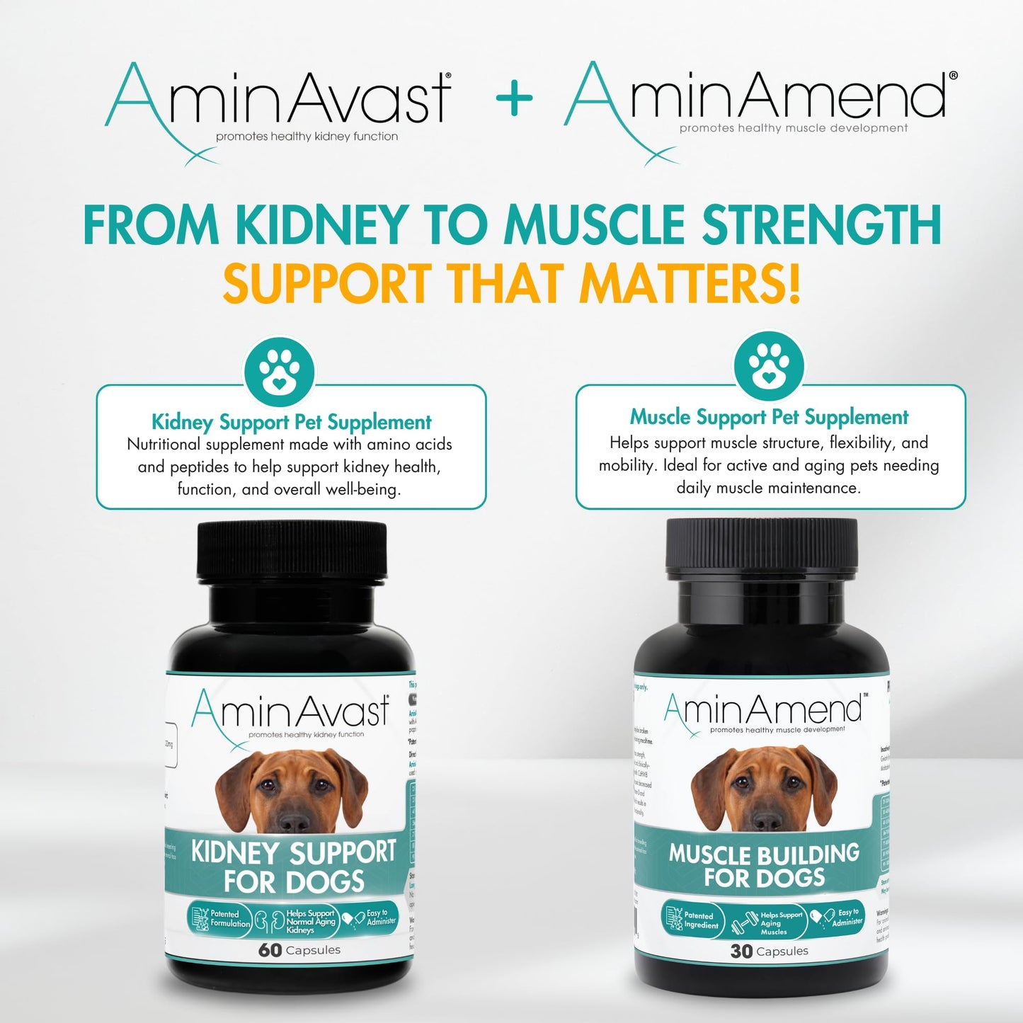 AminAmend Muscle Support Dog Supplements for Large Breed (21lbs+) with CaHMB & Vitamin D3 – Supports Strength, Mobility & Daily Activity for All Ages & Senior Dog – (30 Capsules)