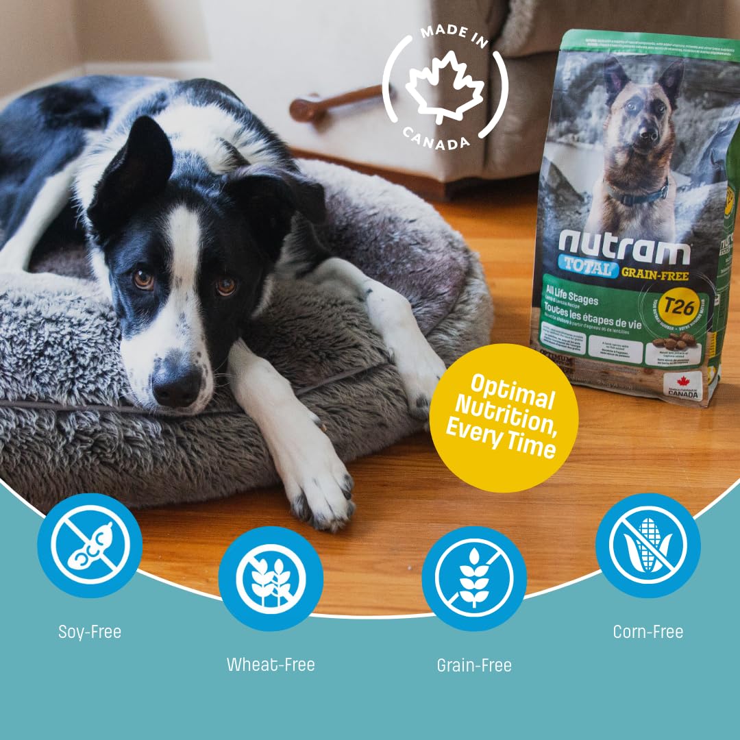Nutram T26 Grain-Free Lamb & Lentils Dry Dog Food | High Protein, Chicken-Free Kibble with Pumpkin, Flaxseed & Salmon Oil | Easily Digestible, Allergy-Friendly for Puppies, Adults & Seniors