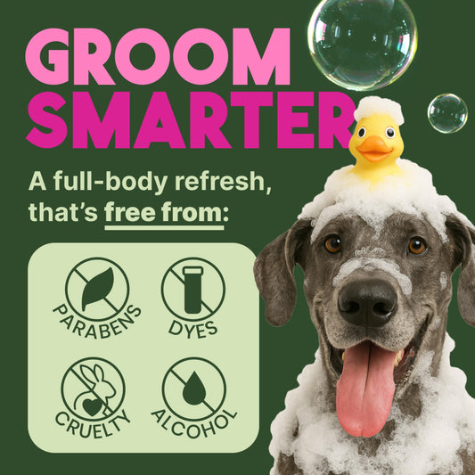 TropiClean Deodorizing Dog Shampoo for Smelly Pets, Long Lasting Odor Control, Puppy Safe, Made in the USA, Berry Scent, Cat Friendly, 12oz.