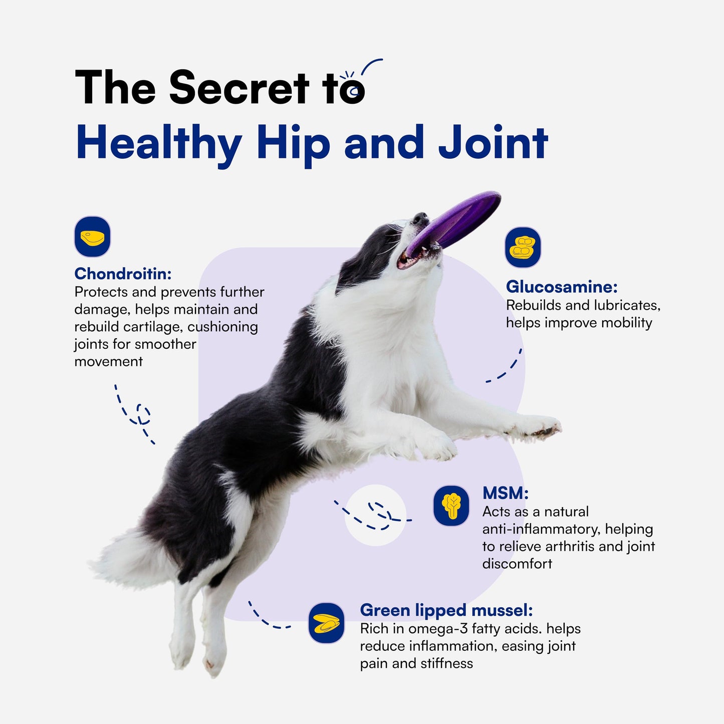 Advanced Hip & Joint Supplement for Dogs - 90 Soft Chews with Glucosamine, MSM, Chondroitin & Multivitamins - Helps Mobility, Flexibility & Arthritis Relief - Made with Pasture-Raised Chicken