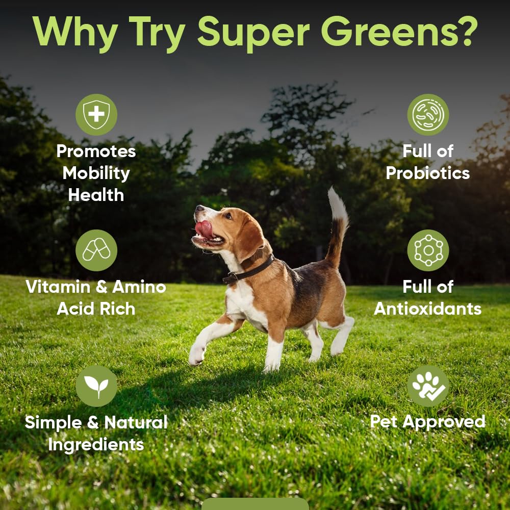 iHeartDogs Super Greens for Dogs with Broccoli Sprouts & Spirulina Powder - Seasonal Allergy & Immune Support Dog Greens Powder - Vitamins, Antioxidants & Minerals Supplement for Dogs