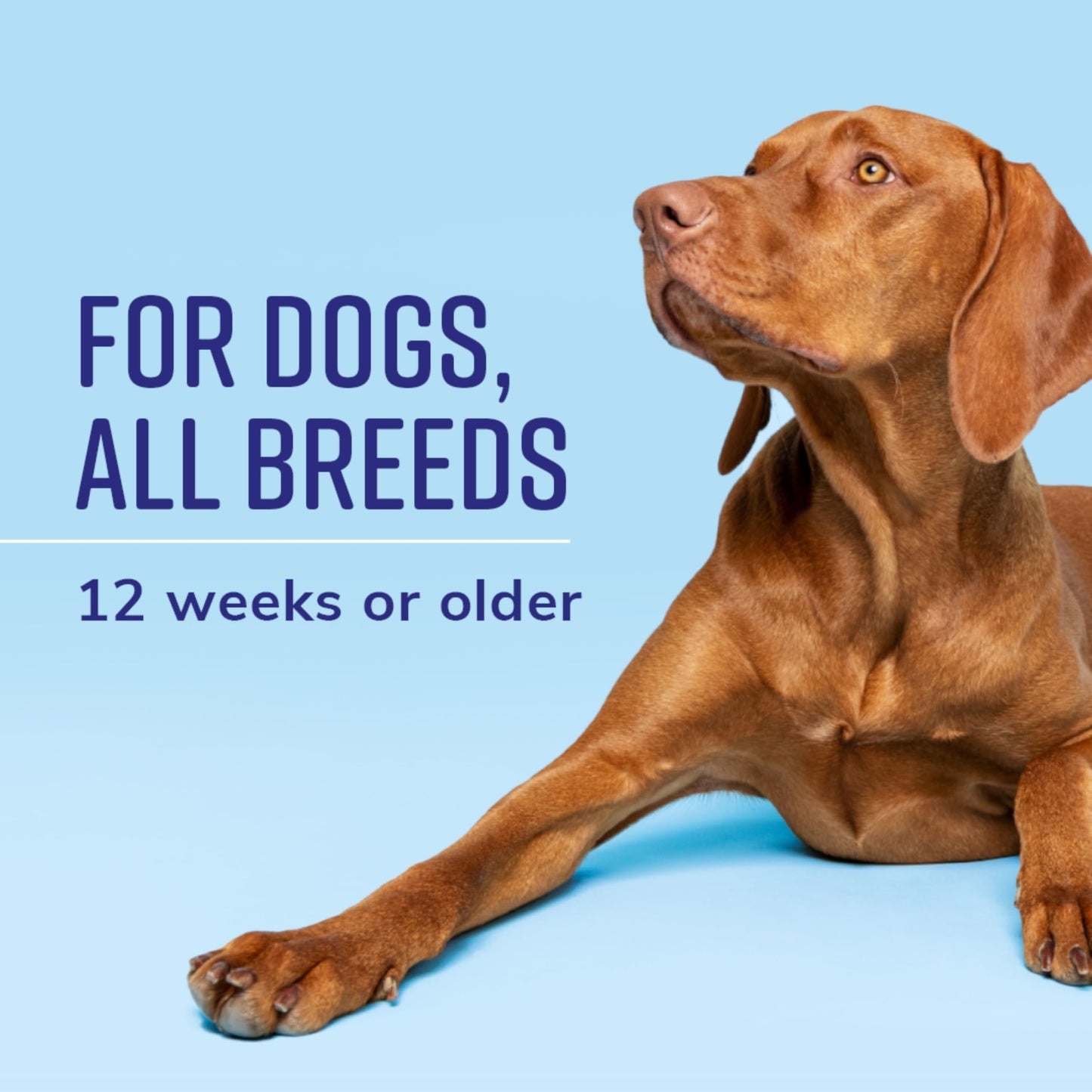 Naturel Promise Fresh & Soothing Sensitive Skin Shampoo, 22oz