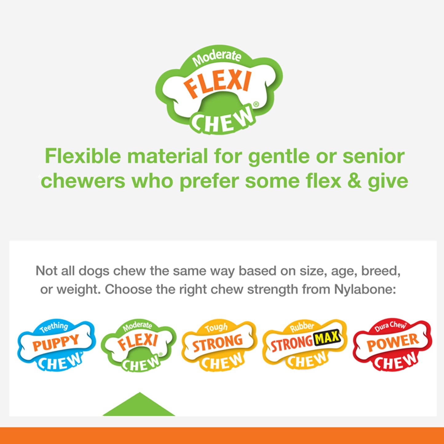 Nylabone Flexi Chill & Chew Toy for Dogs with Treat Pockets, Dog Toys for Moderate Chewers, Medley Flavor, Medium - Up to 35 lbs, 1 Count
