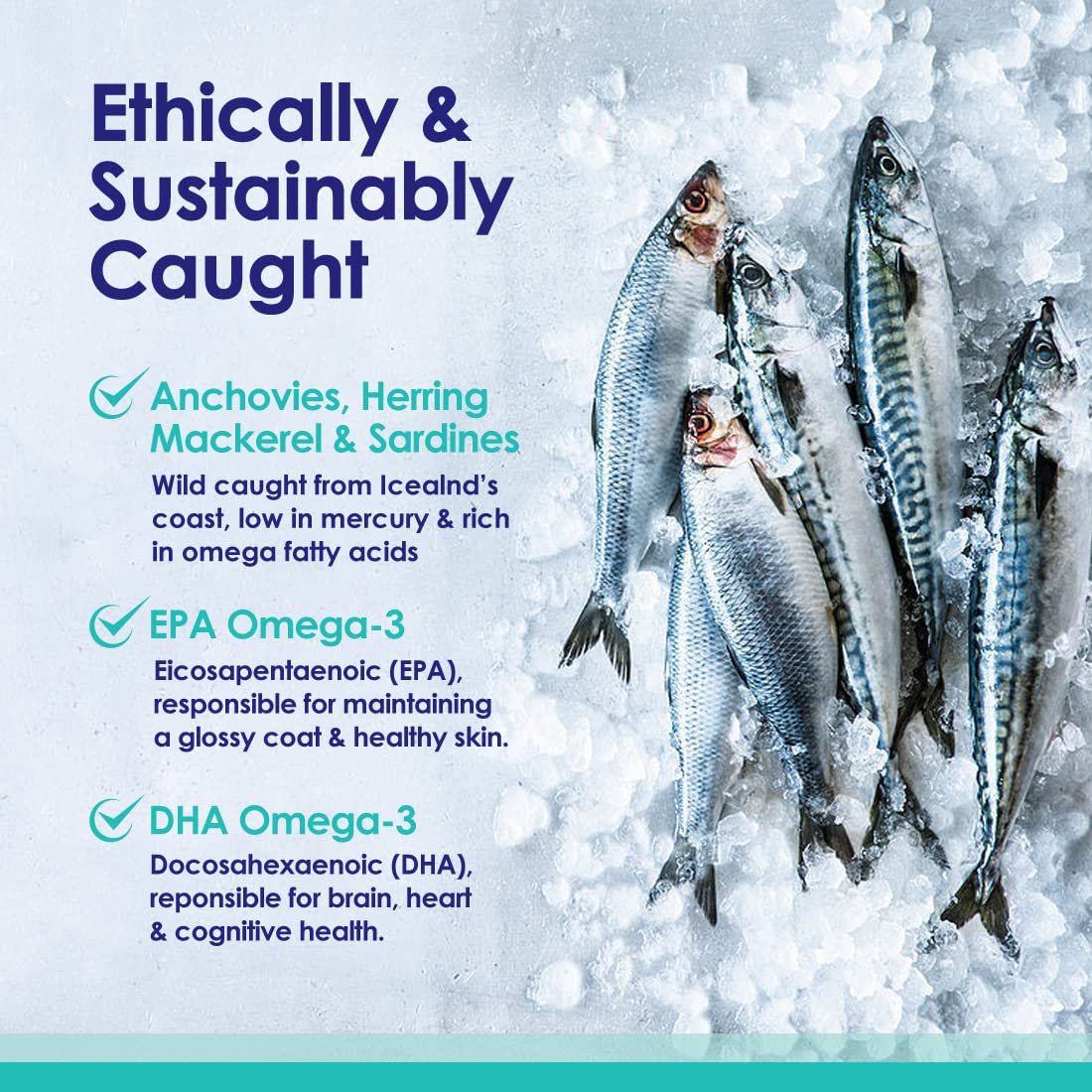 Liquid Fish Oil for Dogs with Omega 3, 6 & 9 Fatty Acids, Wild Caught from Iceland, Skin and Coat Supplement for Shedding, Itchy Skin, Allergies, Brain and Heart Health, Rich in EPA + DHA - 32 oz