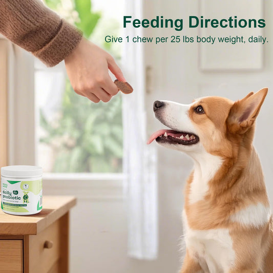 NooraTail Probiotic Supplement