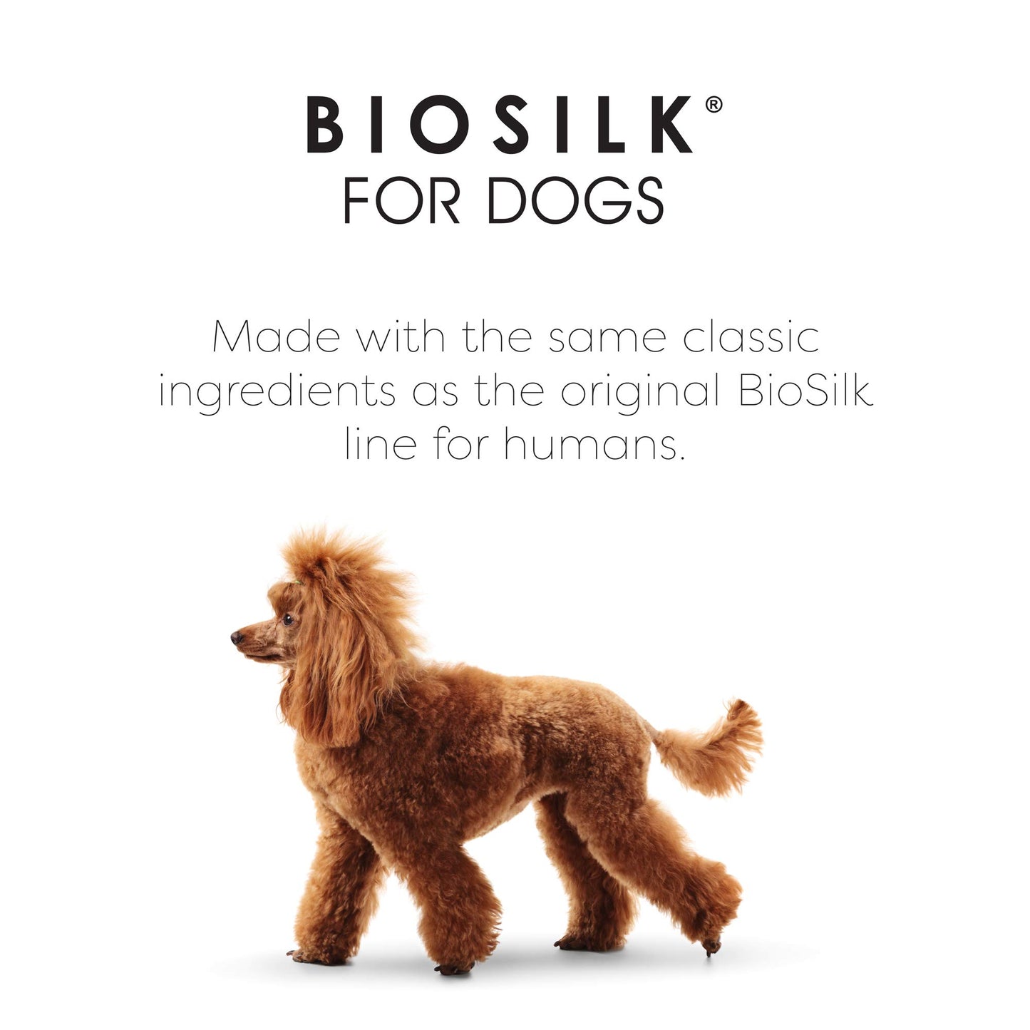 BioSilk for Dogs Silk Therapy Shampoo with Natural Coconut Oil Coconut Dog Shampoo, Sulfate and Paraben Free Natural Shampoo for Dogs, 12 Fl Oz Made in The USA (Pack of 1)