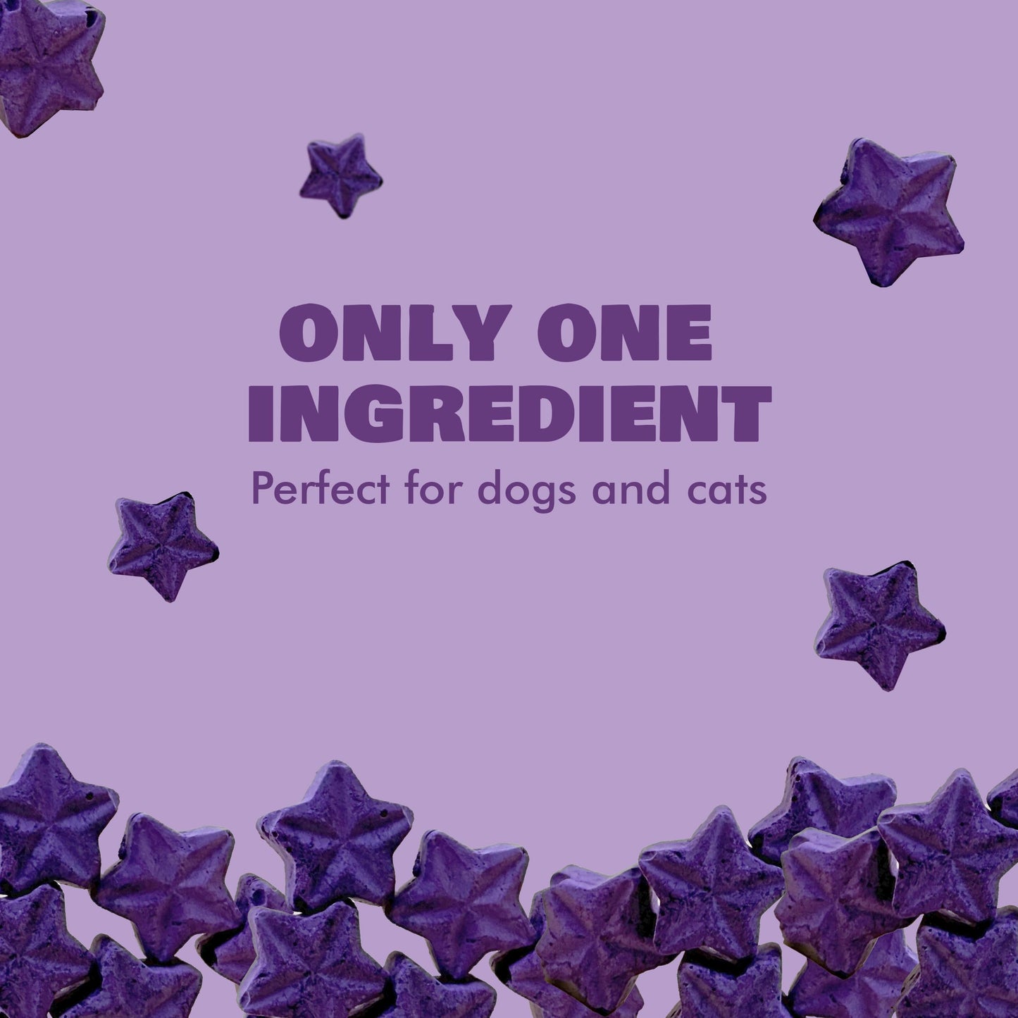 RawTernative Air Dried Dog Food, High Protein, Over 90% Real Chicken & Liver + New Zealand Green Mussels, Complete Meal or Topper, Grain Free, Gluten Free, Non GMO, (5 oz Bag)