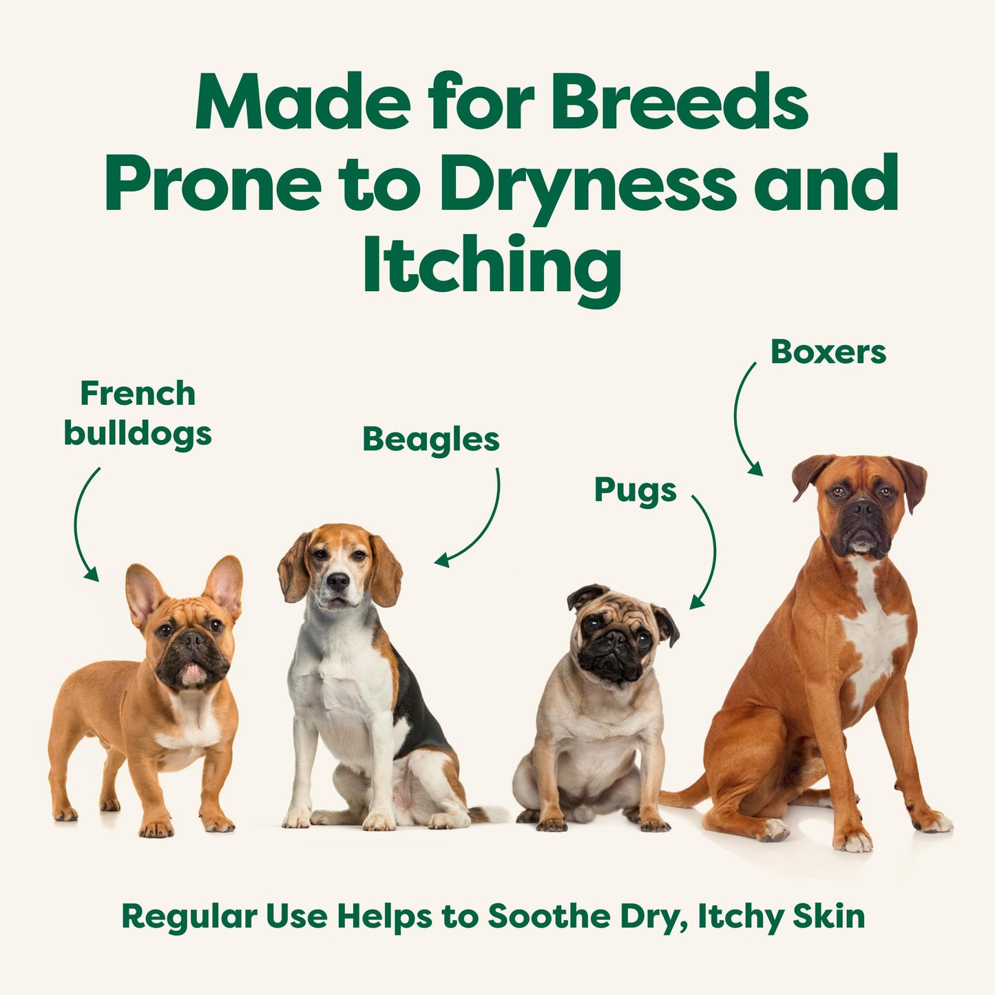 Earth Rated 3-in-1 Soothing Dog Shampoo and Conditioner, Deodorizing Oatmeal Shampoos for Dogs and Puppies, Great for Smelly Pets, White Tea and Basil Scent, 16 oz