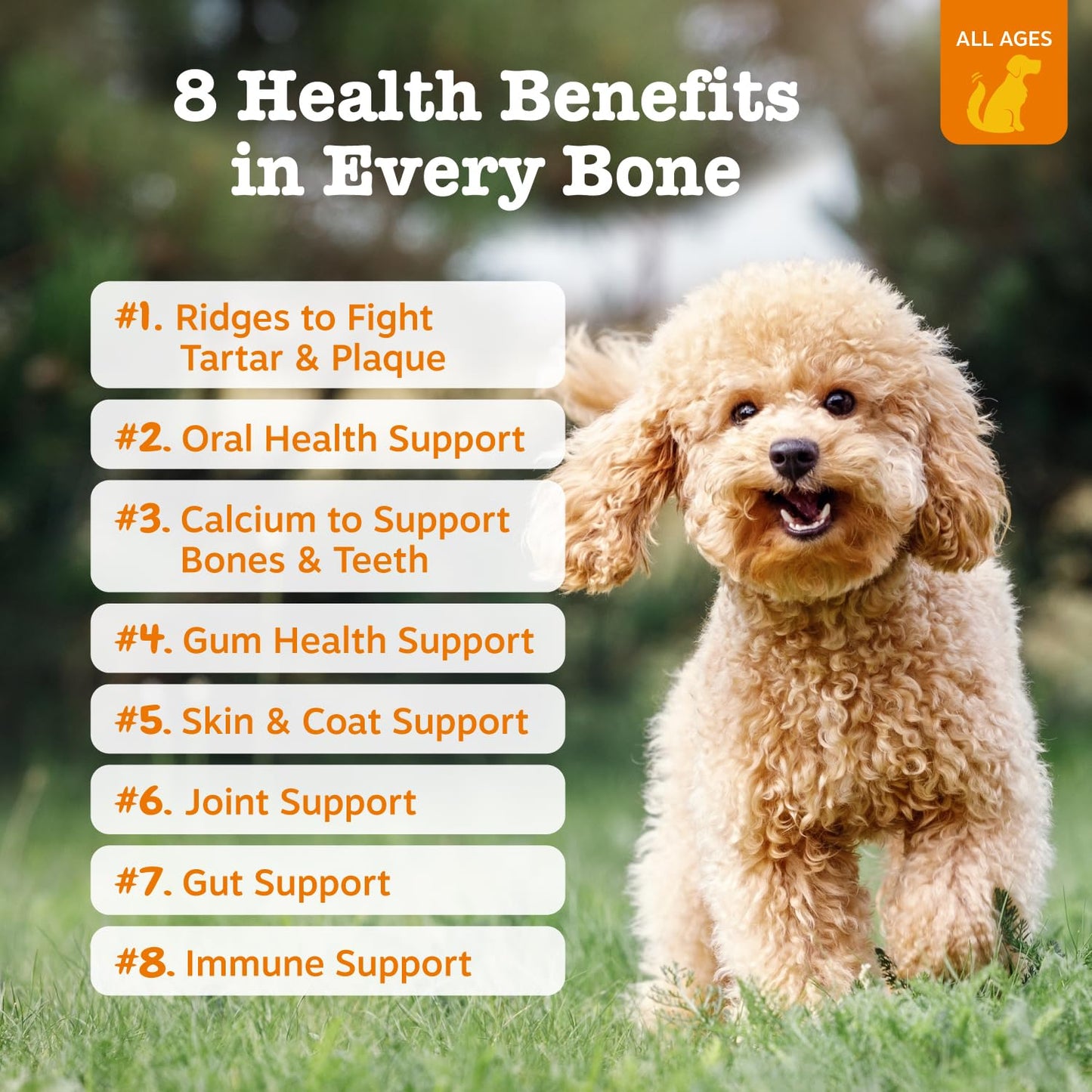Zesty Paws Dental Bones - Fights Tartar & Plaque - Gum, Teeth & Bone Health - Cinnamon for Dog Breath - Immune, Joint, Gut, Skin & Coat Support - Omega 3 EPA & DHA and Calcium - Small Dogs - 28 ct