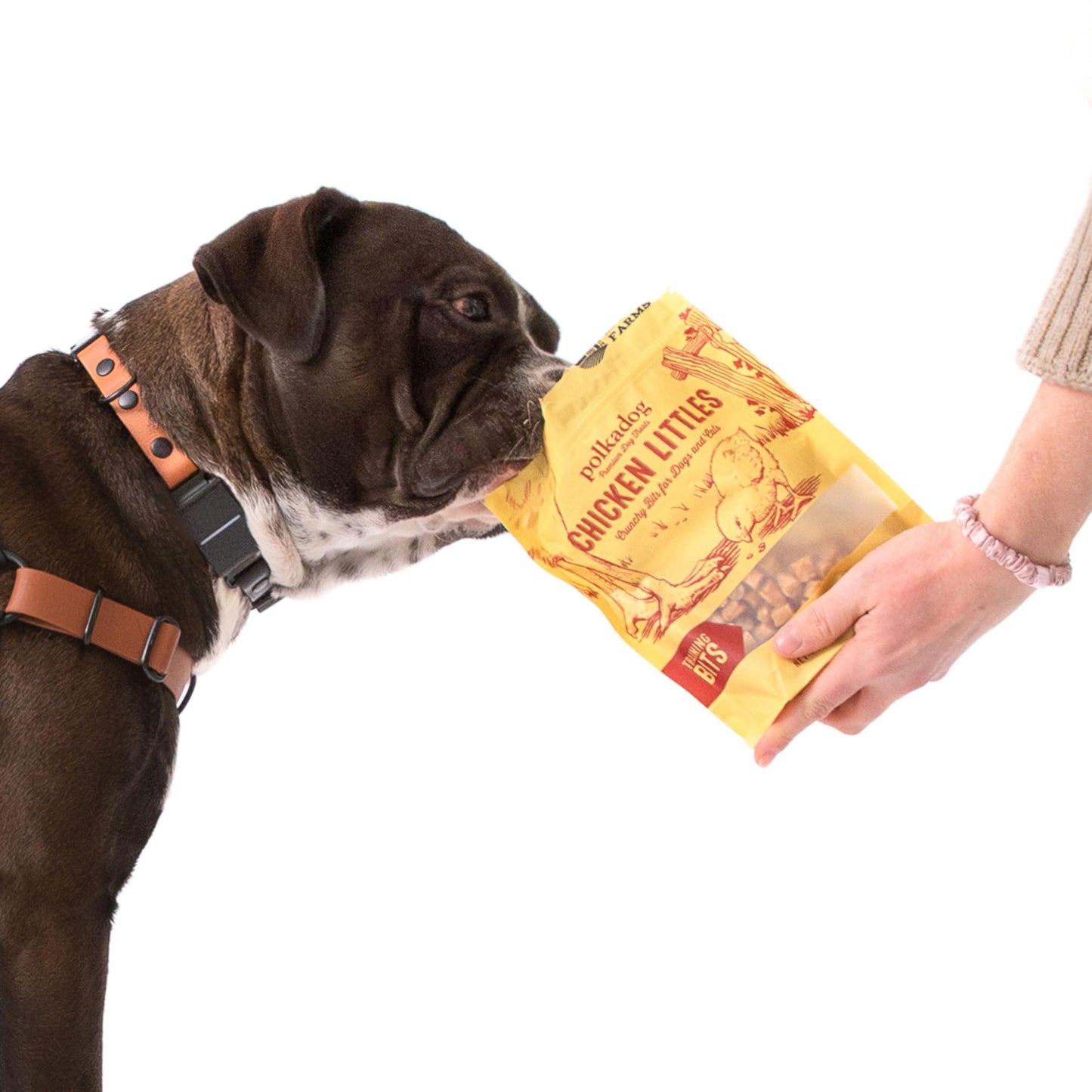 Polkadog Chicken Littles Crunchy Training Bits 3-Pack – All Natural, Limited Ingredient Healthy Training Treats for Dogs. Handcrafted in USA. Great for Dogs with Allergies – 7oz (Pack of 3)