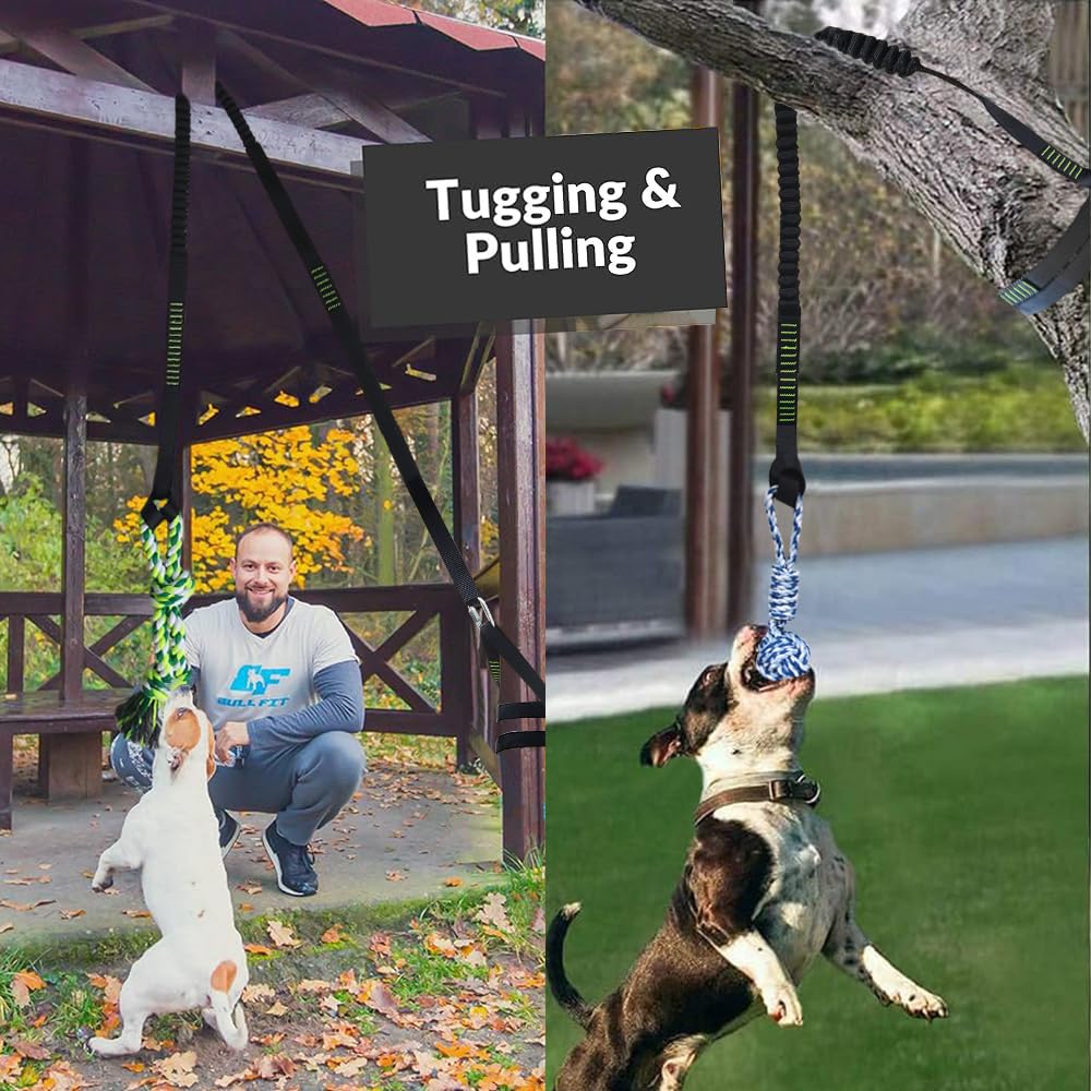 TUAHOO Outdoor Hanging Dog Bungee Tug Solo Toy, Tree Tugger Pull Rope & Tether Tug a War for Pitbull Medium Large Aggressive Chewers, Interactive Exercise Play Cord, 2 Dog Rope Toys