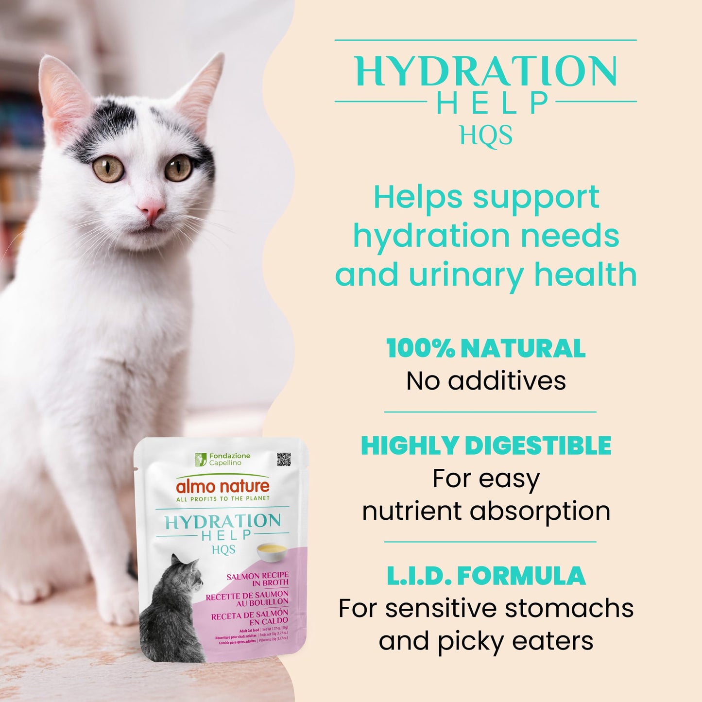 almo nature HQS Hydration Help - Wet Cat Food - Salmon Broth with Salmon Fillet, Flake and Broth - Wet Cat Food for Adult Cats - Additive Free, Grain Free - Pouches, 1.77oz (Pack of 12)