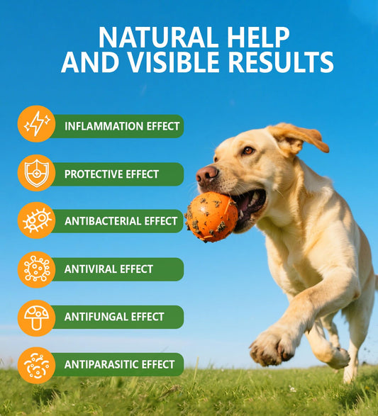PuPulse Antibiotics for Dogs | Natura Antibiotics for Dogs | Dietary Supplement Pet Antibiotic | Dog Vitamins and Supplements | Dog Antibiotic | 2 Oz